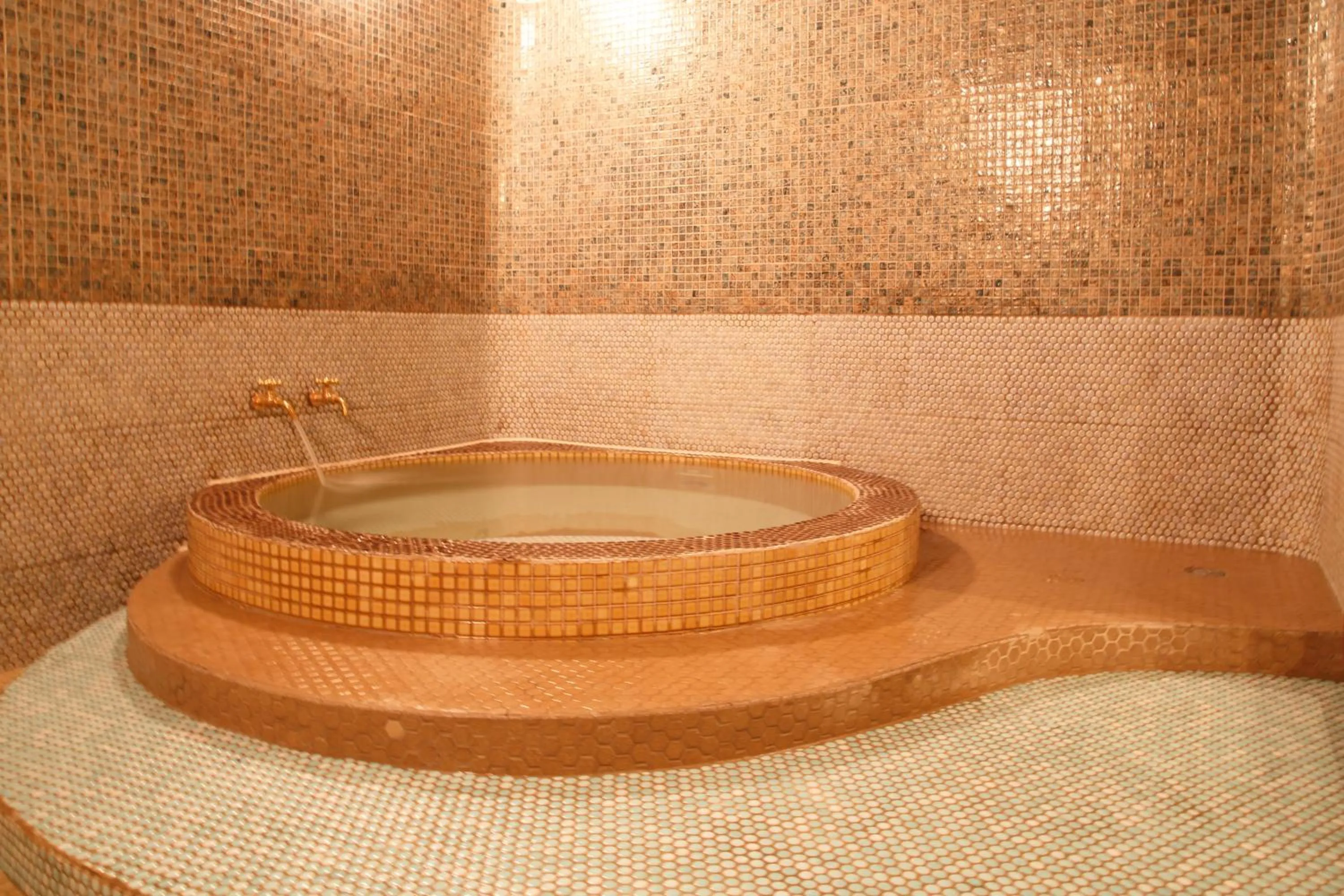 Hot Tub in Nikko Akarinoyado Villa Revage