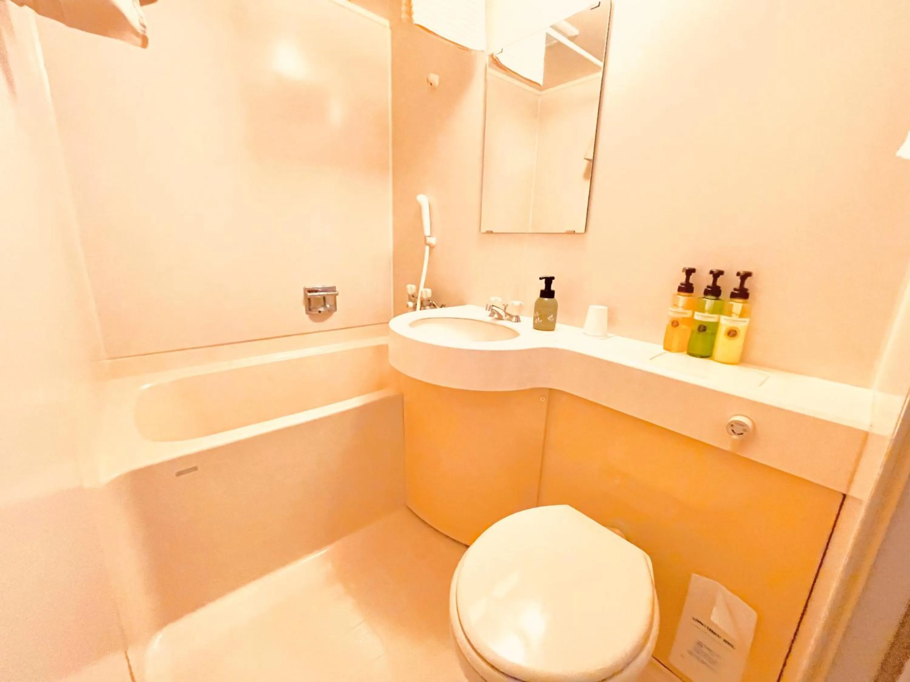 Shower in Nikko Akarinoyado Villa Revage