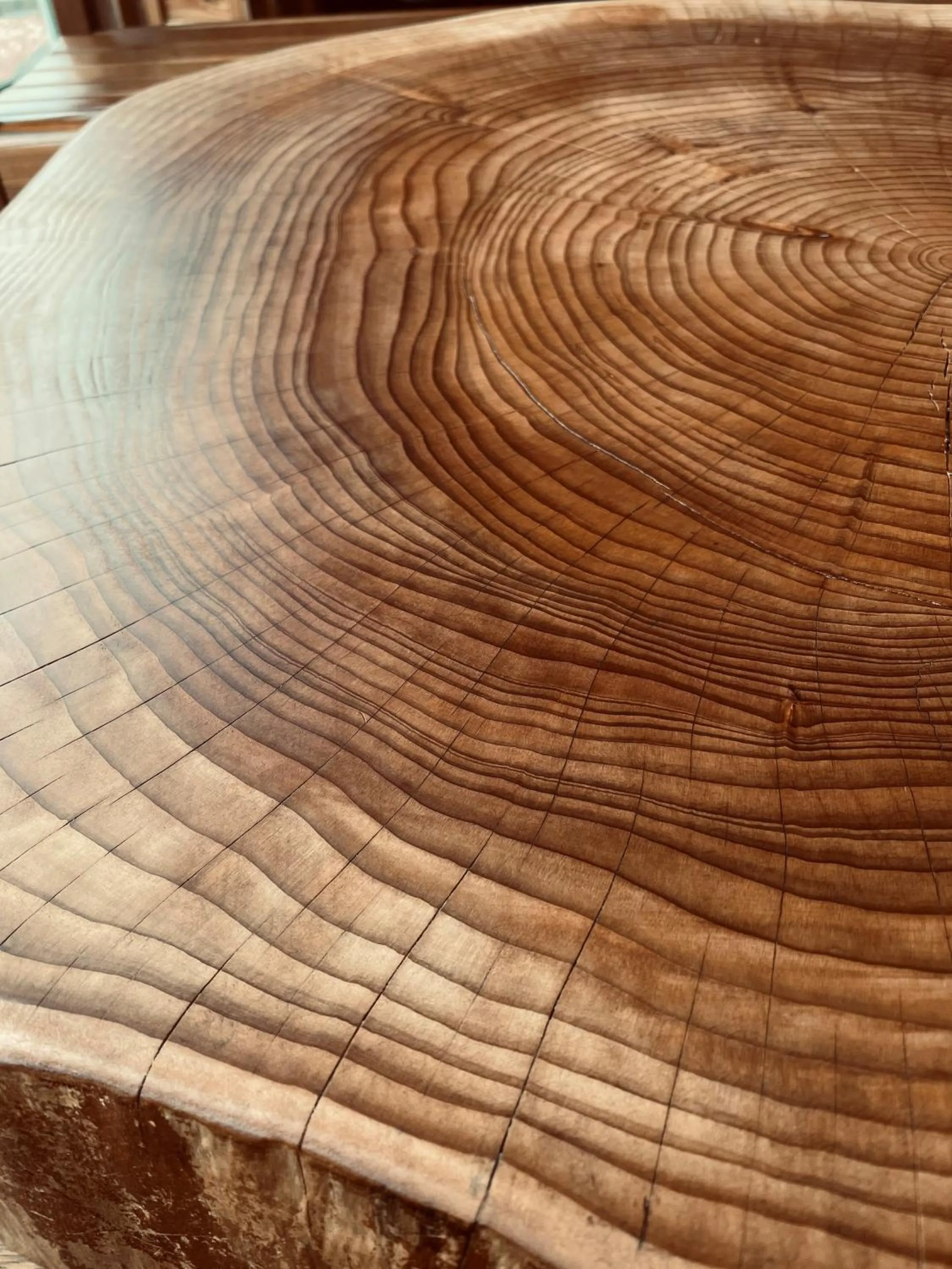 hair dresser in Nikko Akarinoyado Villa Revage