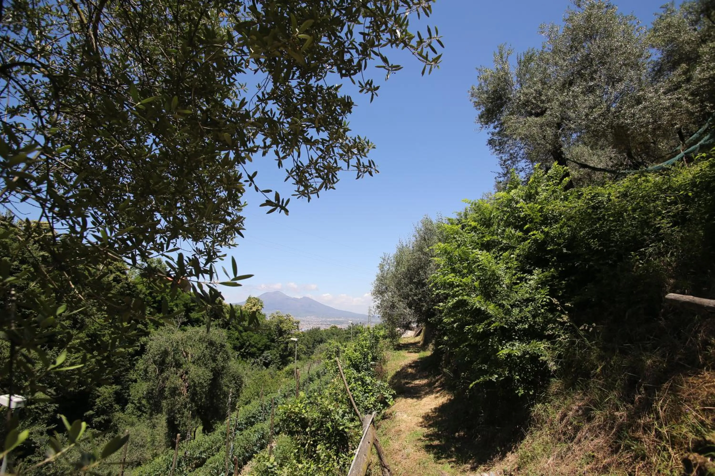 View (from property/room) in B&B Villa Catiè