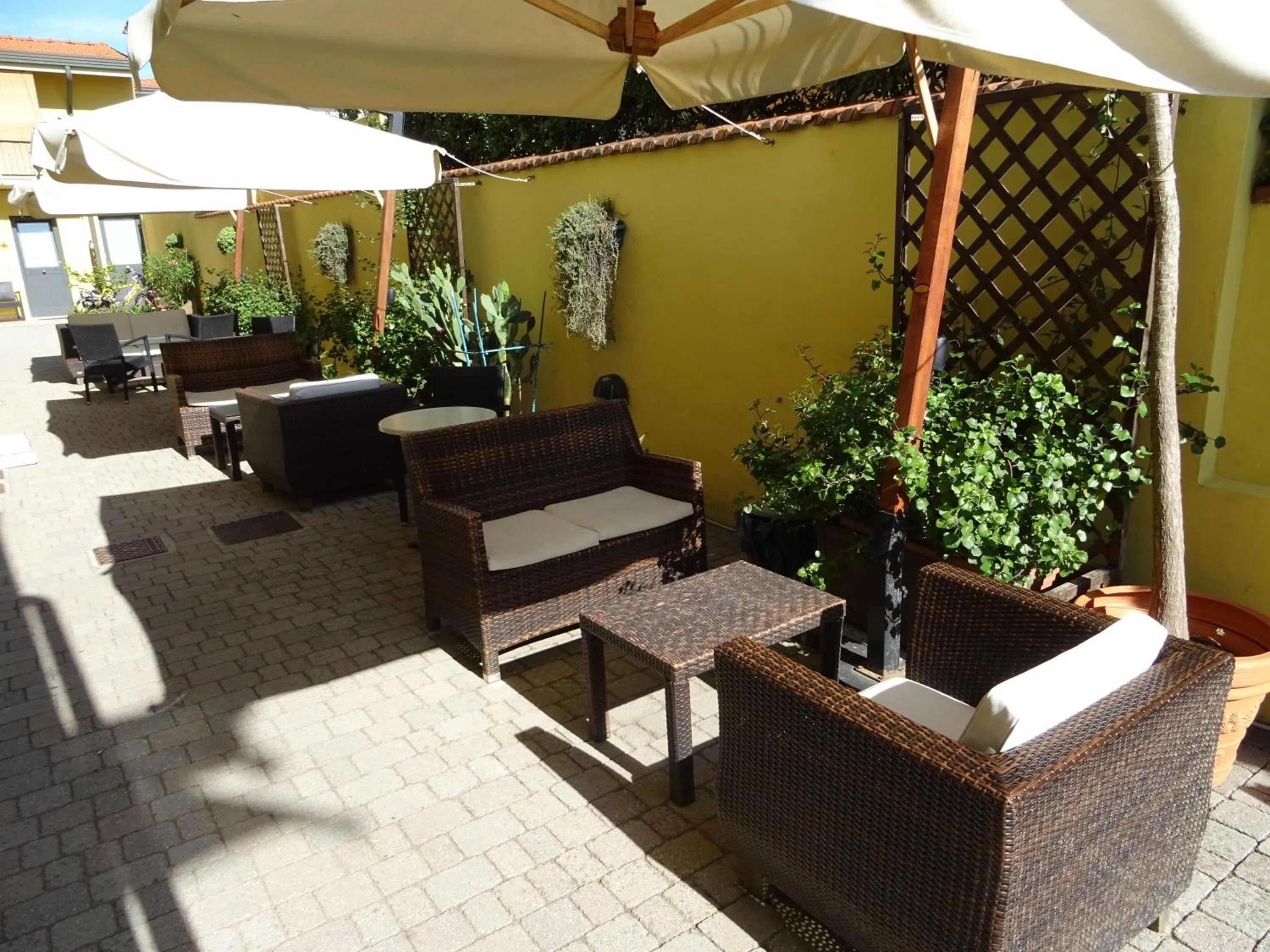 Garden in Hotel Sole E Mare