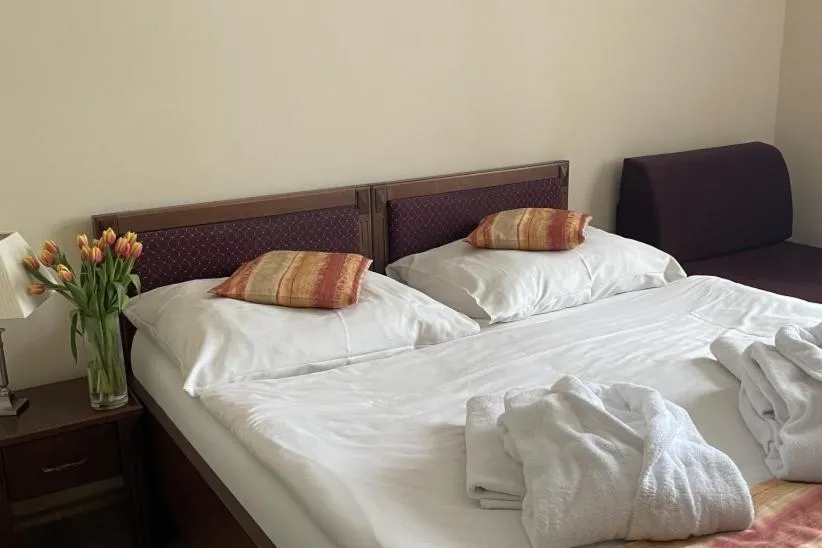 Bedroom, Bed in Kolštejn wellness centrum