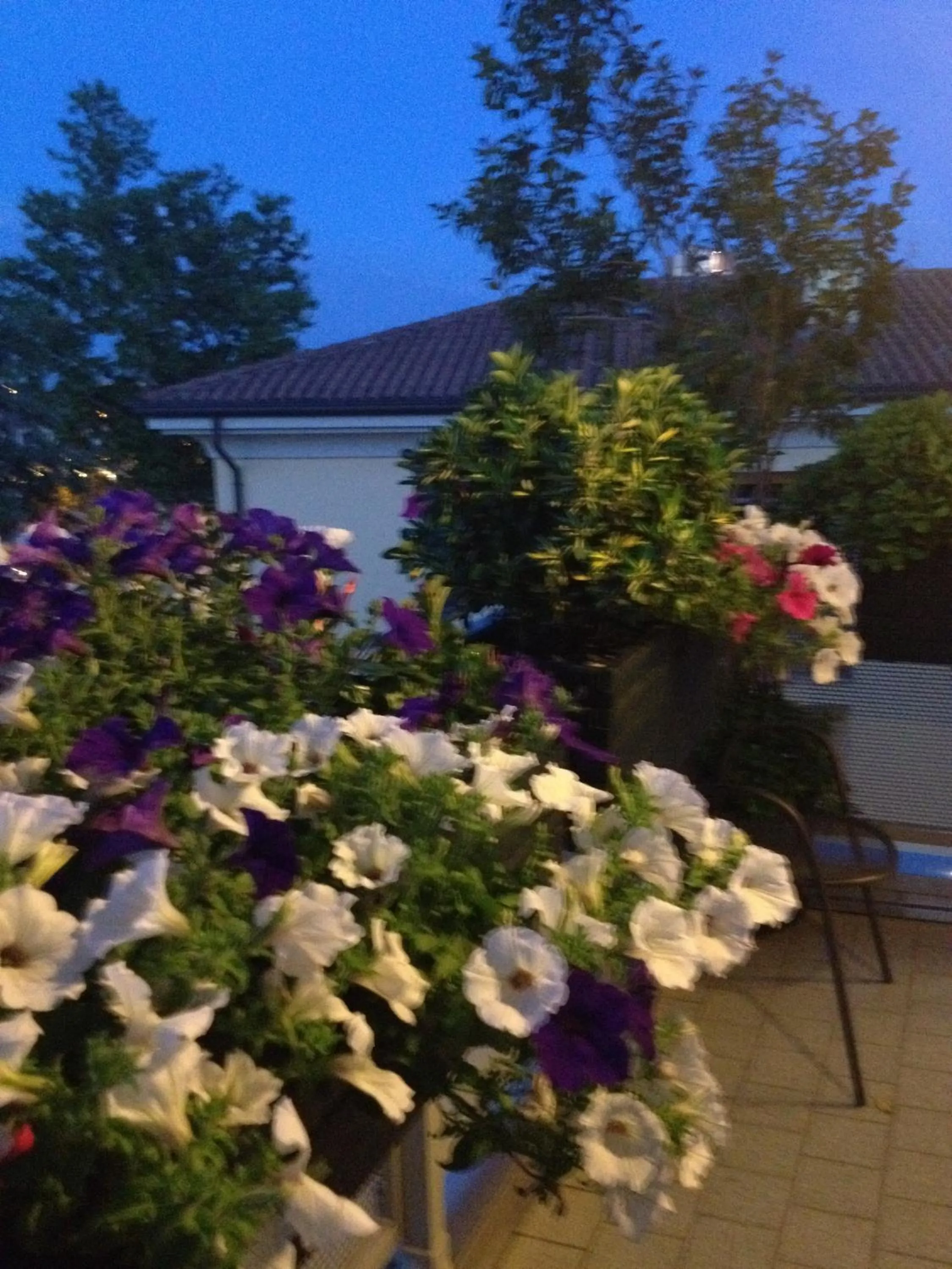 On site in B&B Pitstop