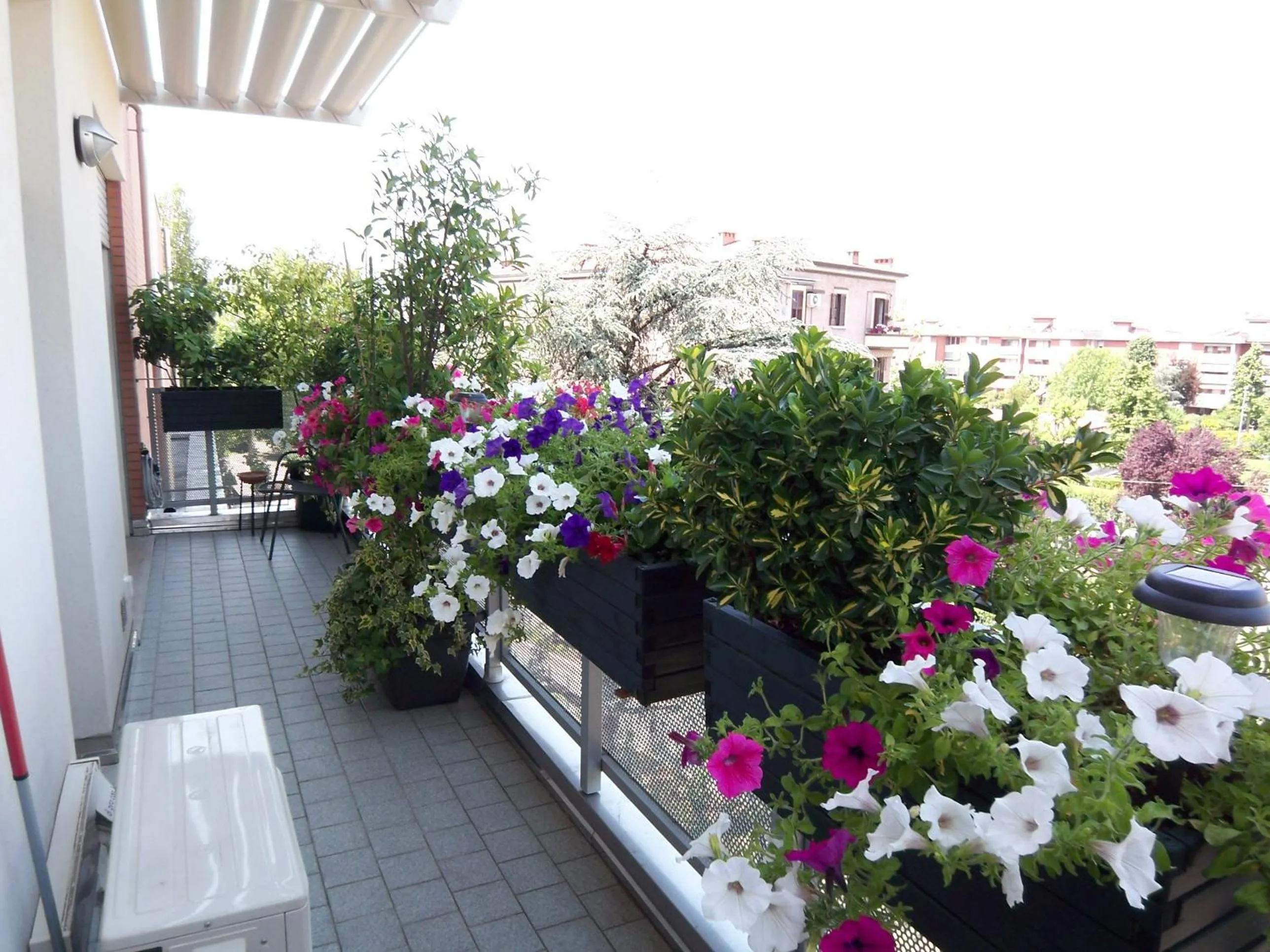 Balcony/Terrace in B&B Pitstop