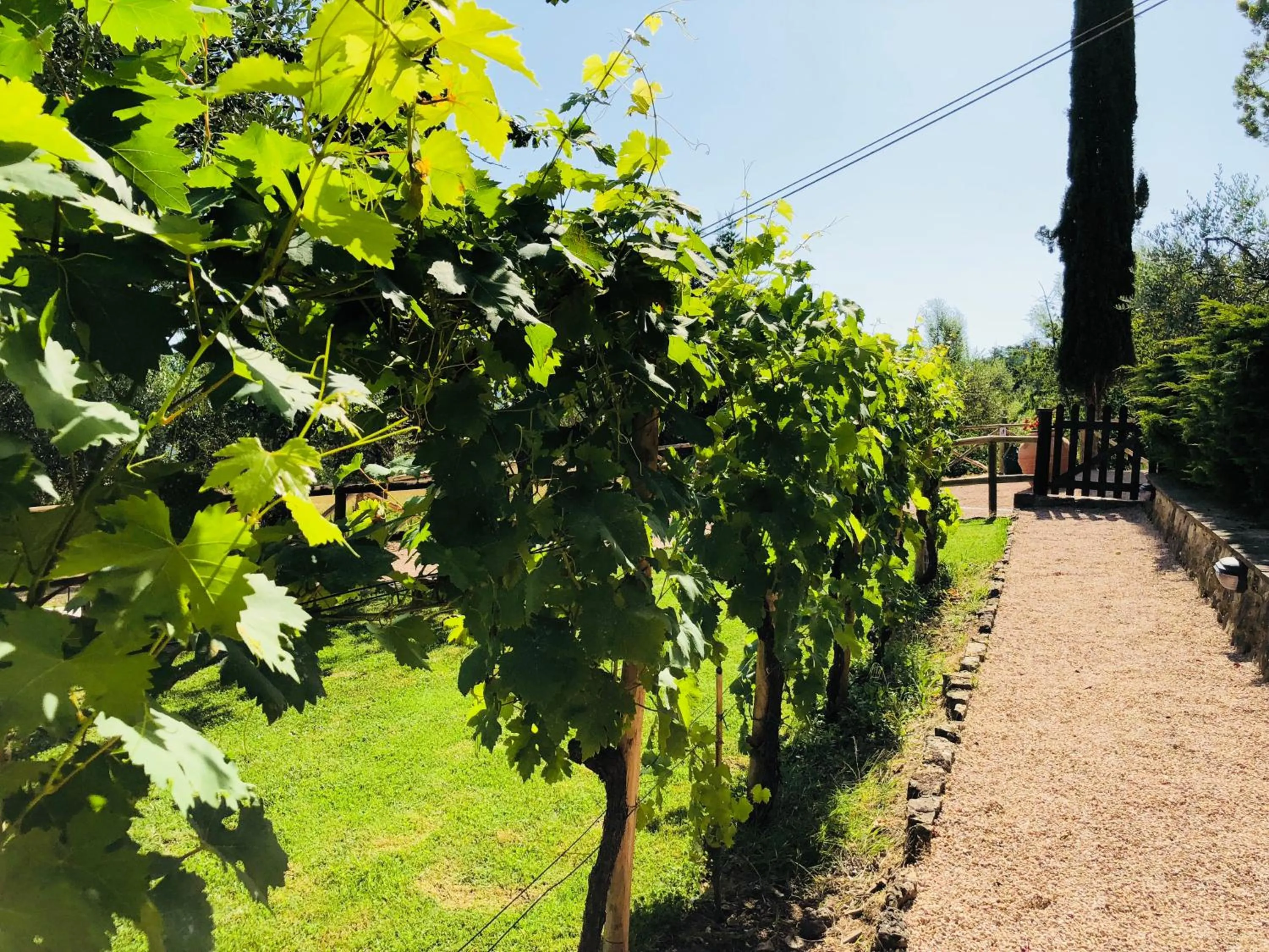 Agriturismo Borgo Il Bonagino