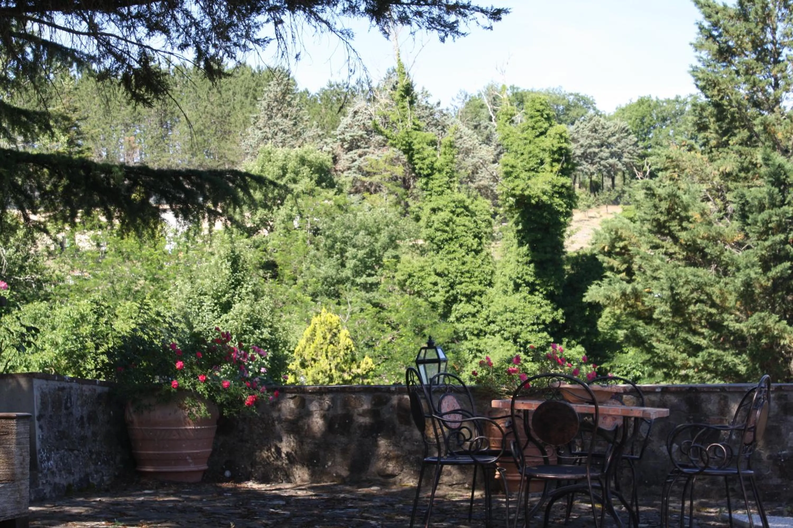 Agriturismo Borgo Il Bonagino