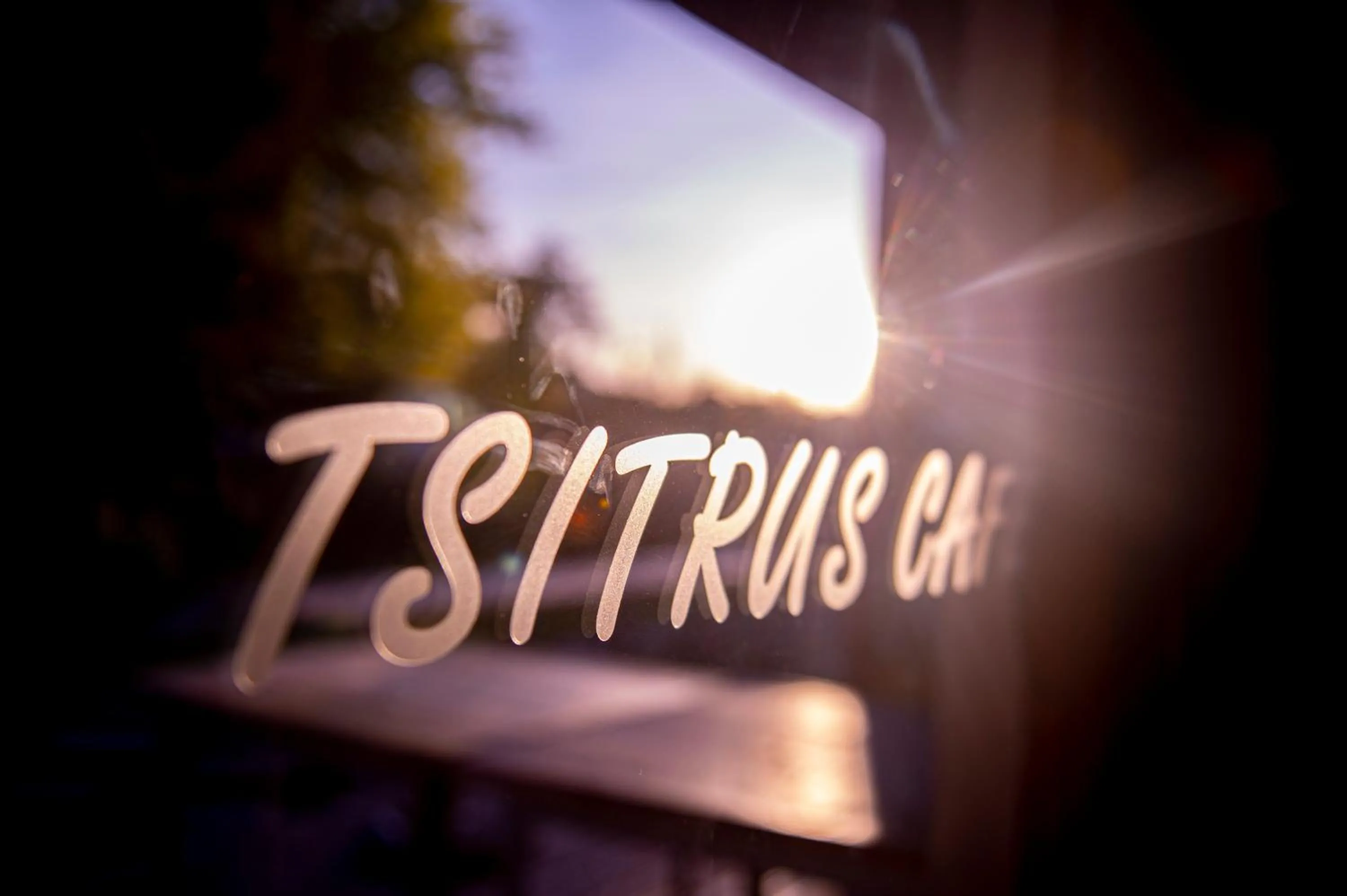 Restaurant/places to eat in At the Woods Guest House