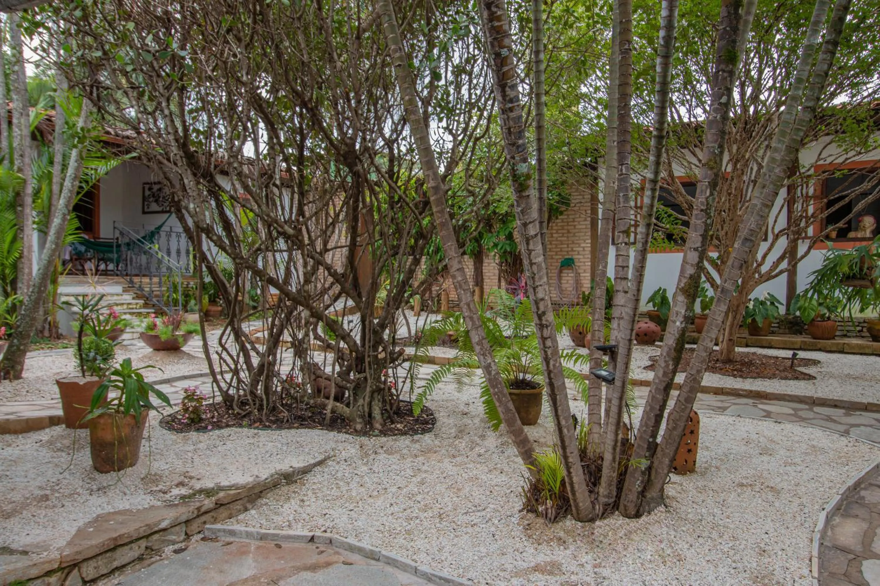 Day in Pousada Arvoredo