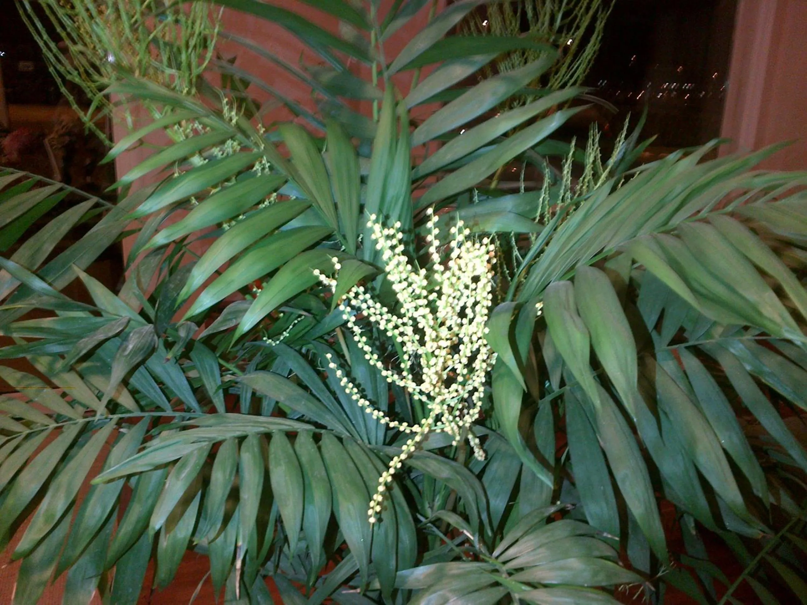 Other in Hotel Barberino