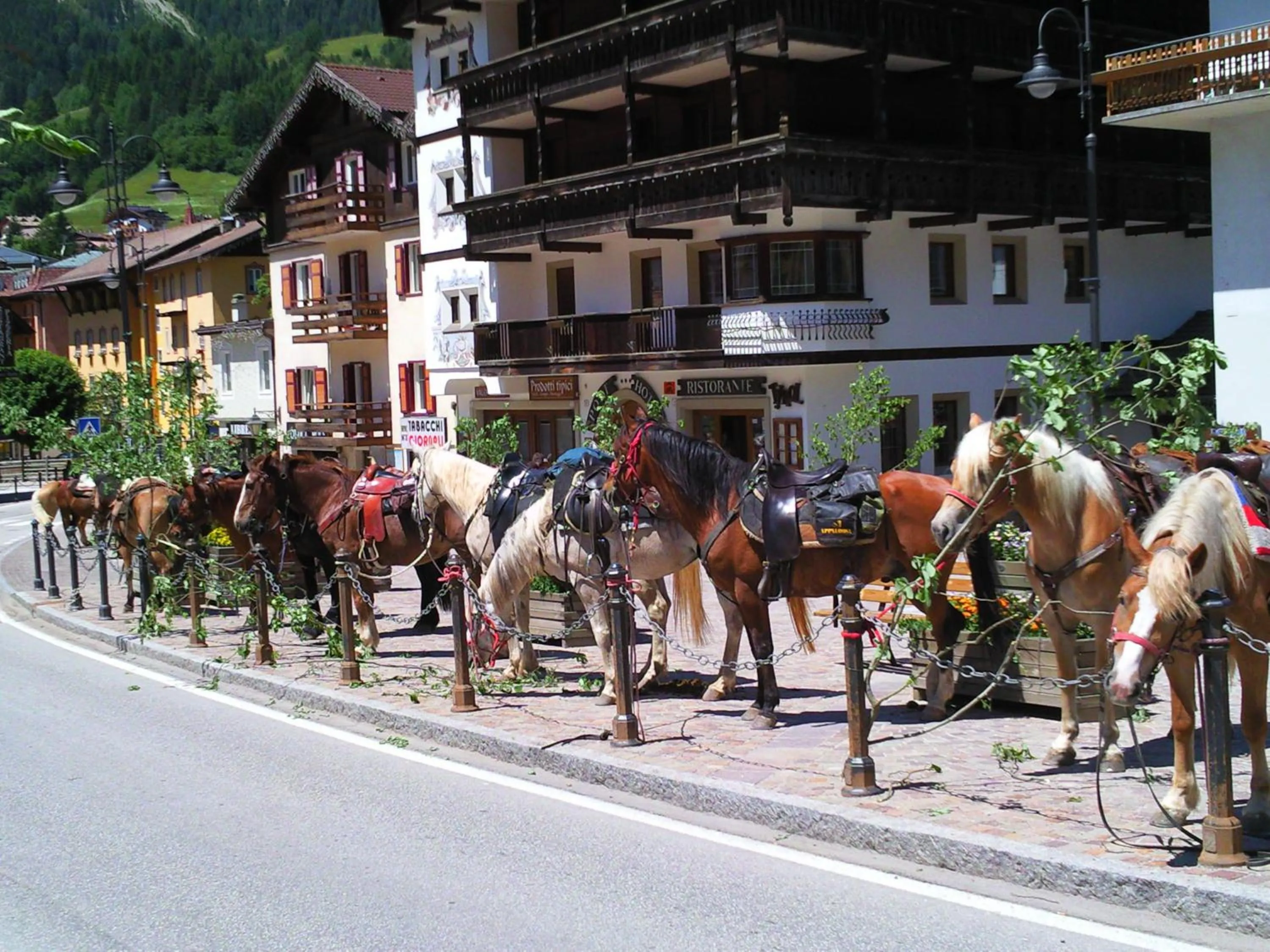 Day in Post Hotel Moena