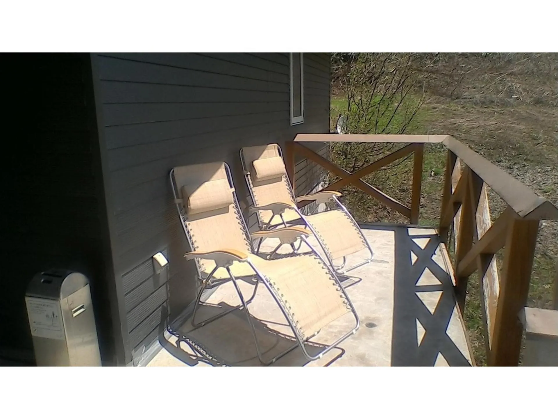 Lodge Christmas Rose Zao