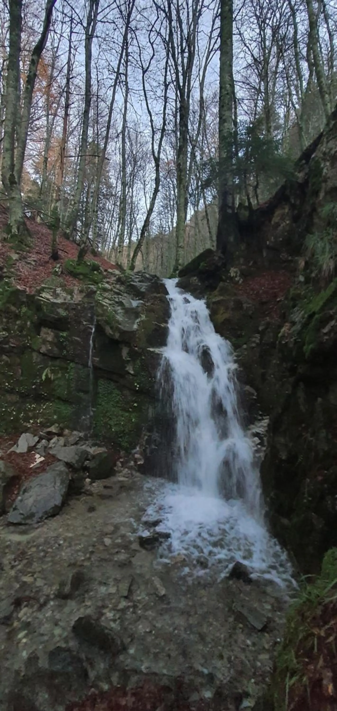 Natural landscape in Park Hotel Bellavista