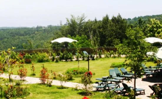 Garden in Park Hotel Bellavista