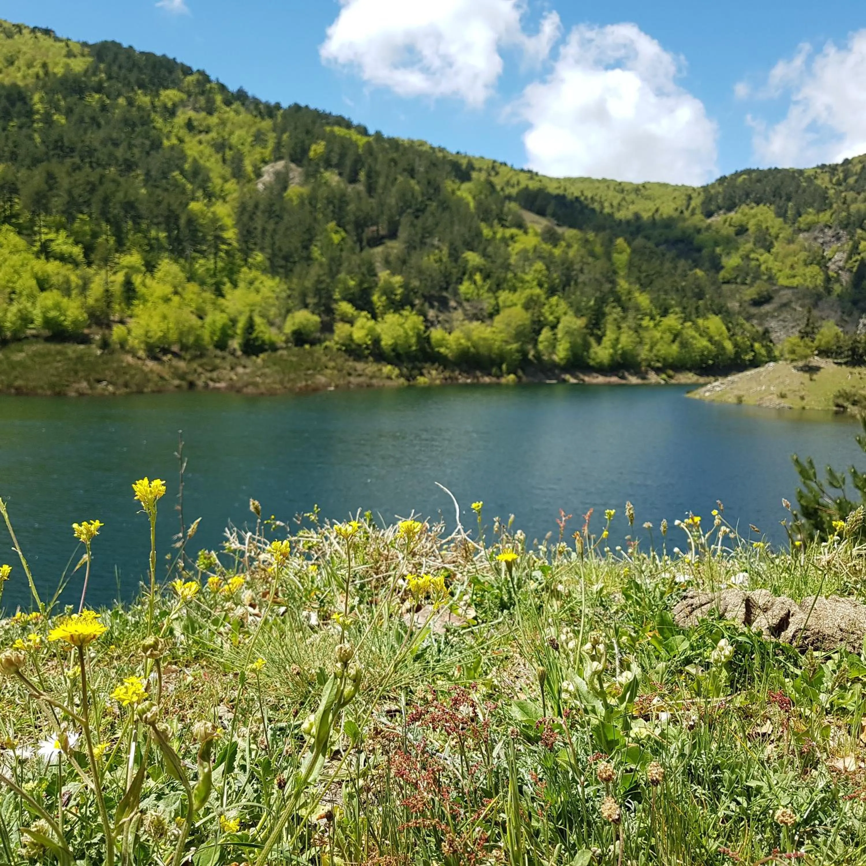 Natural landscape in Park Hotel Bellavista