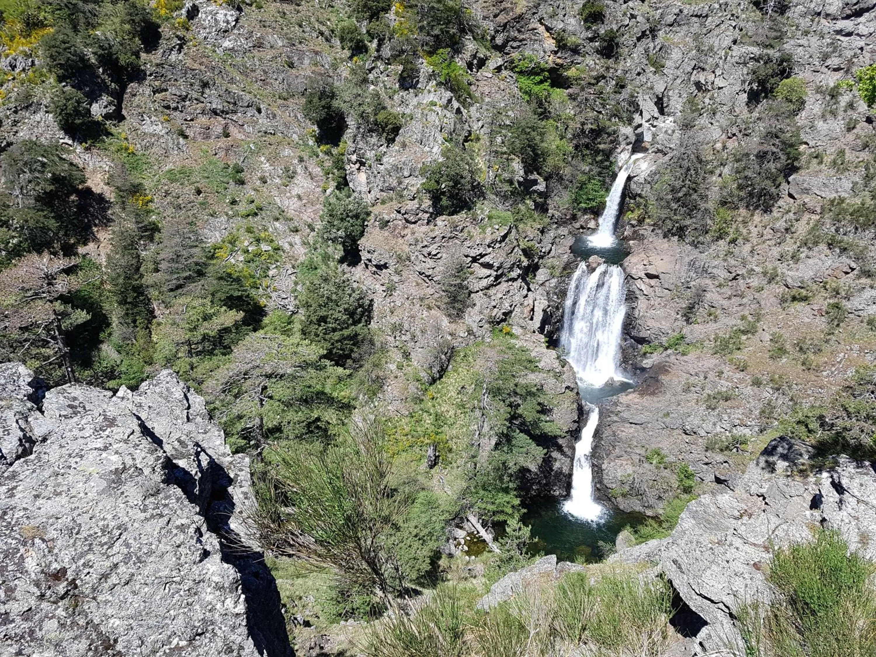 Natural landscape in Park Hotel Bellavista