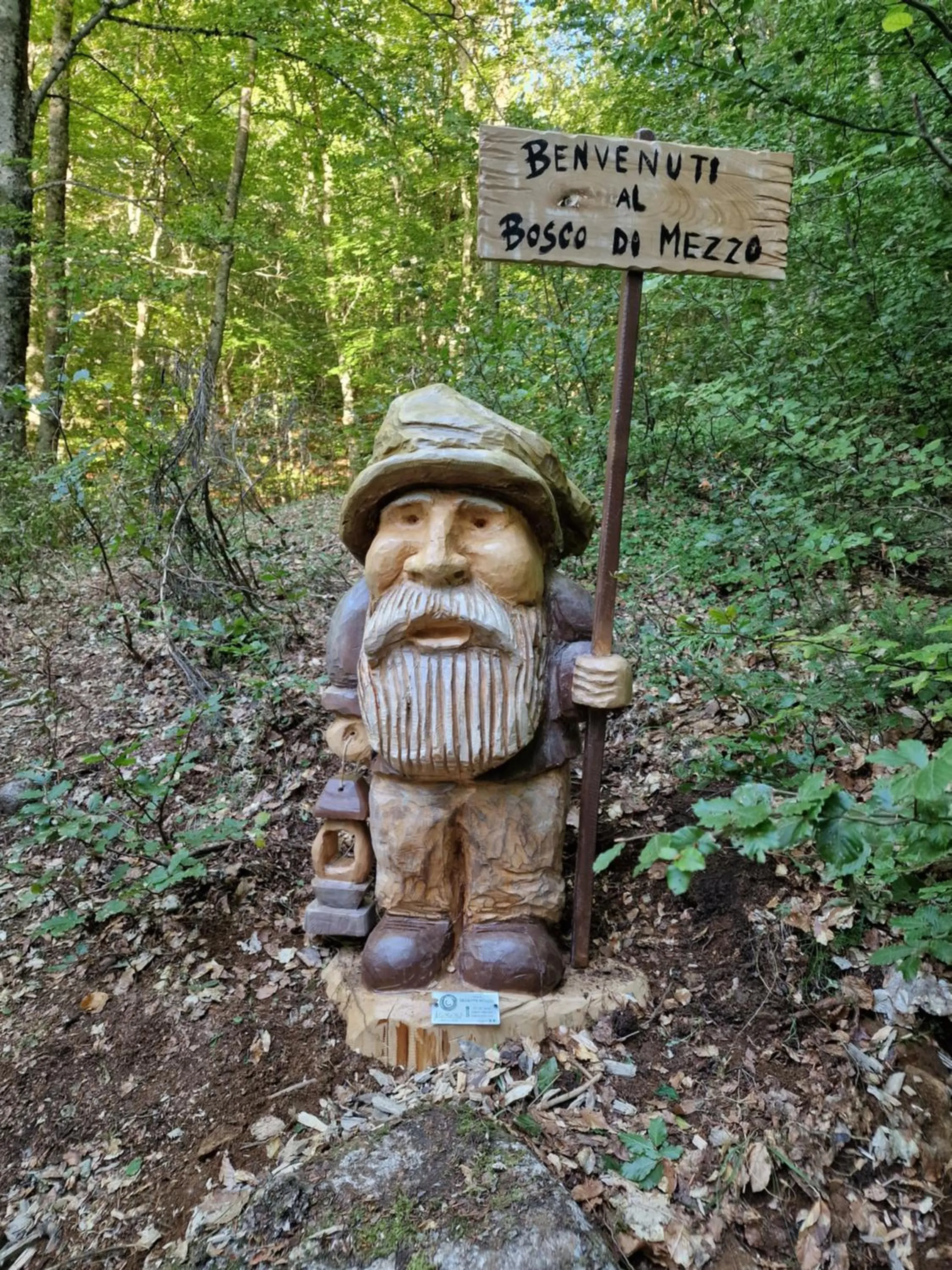 Natural landscape in Park Hotel Bellavista