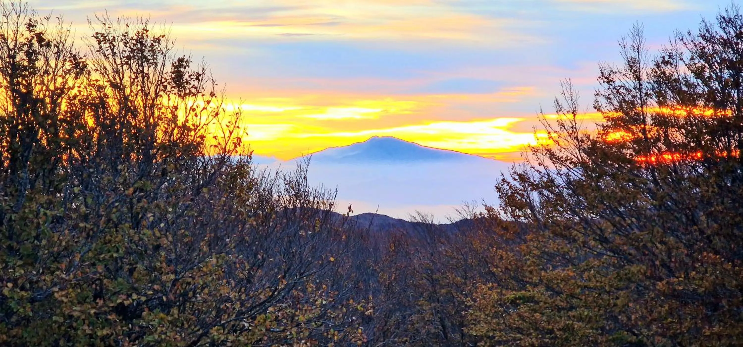 Natural landscape in Park Hotel Bellavista