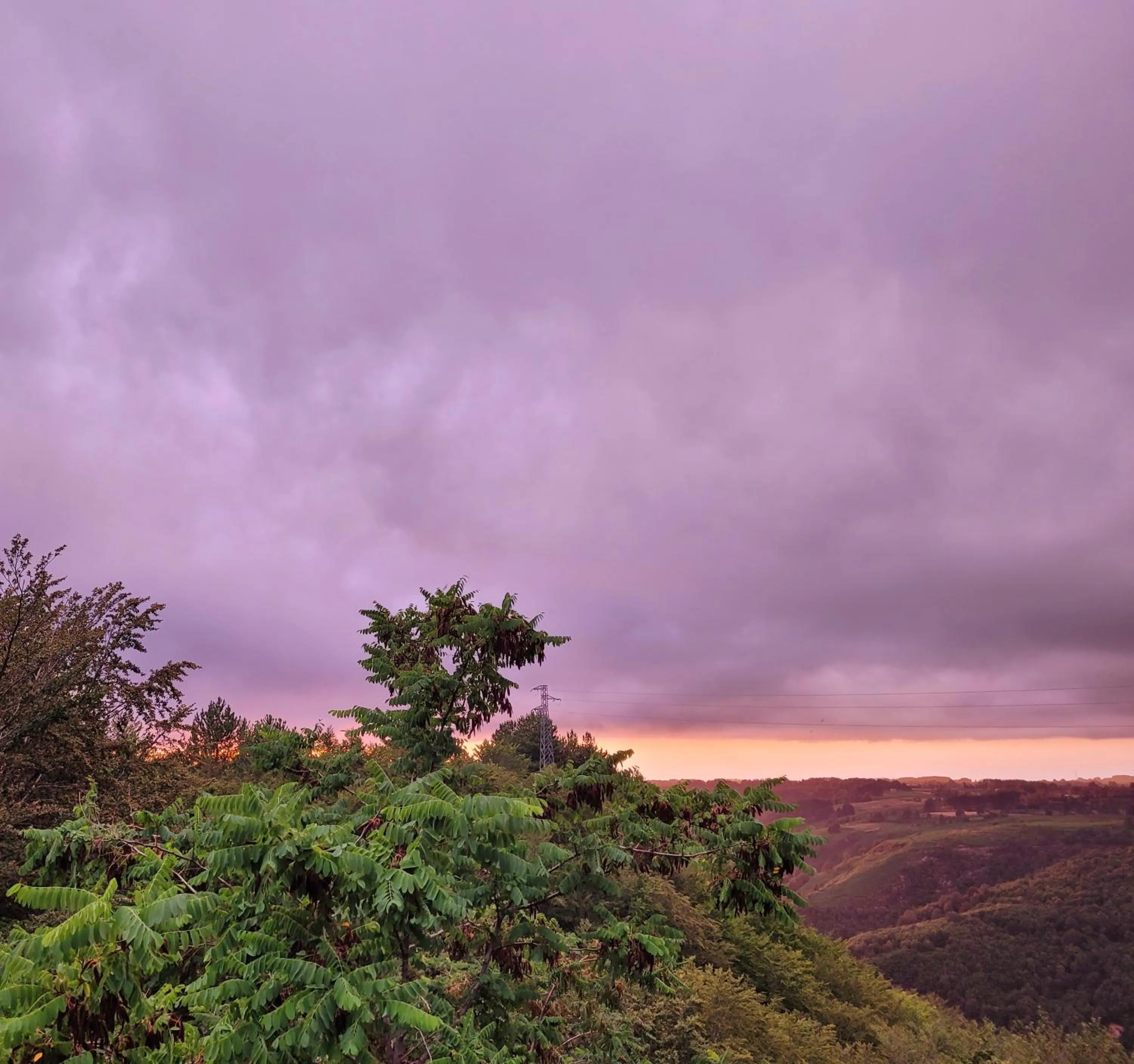 Garden in Park Hotel Bellavista