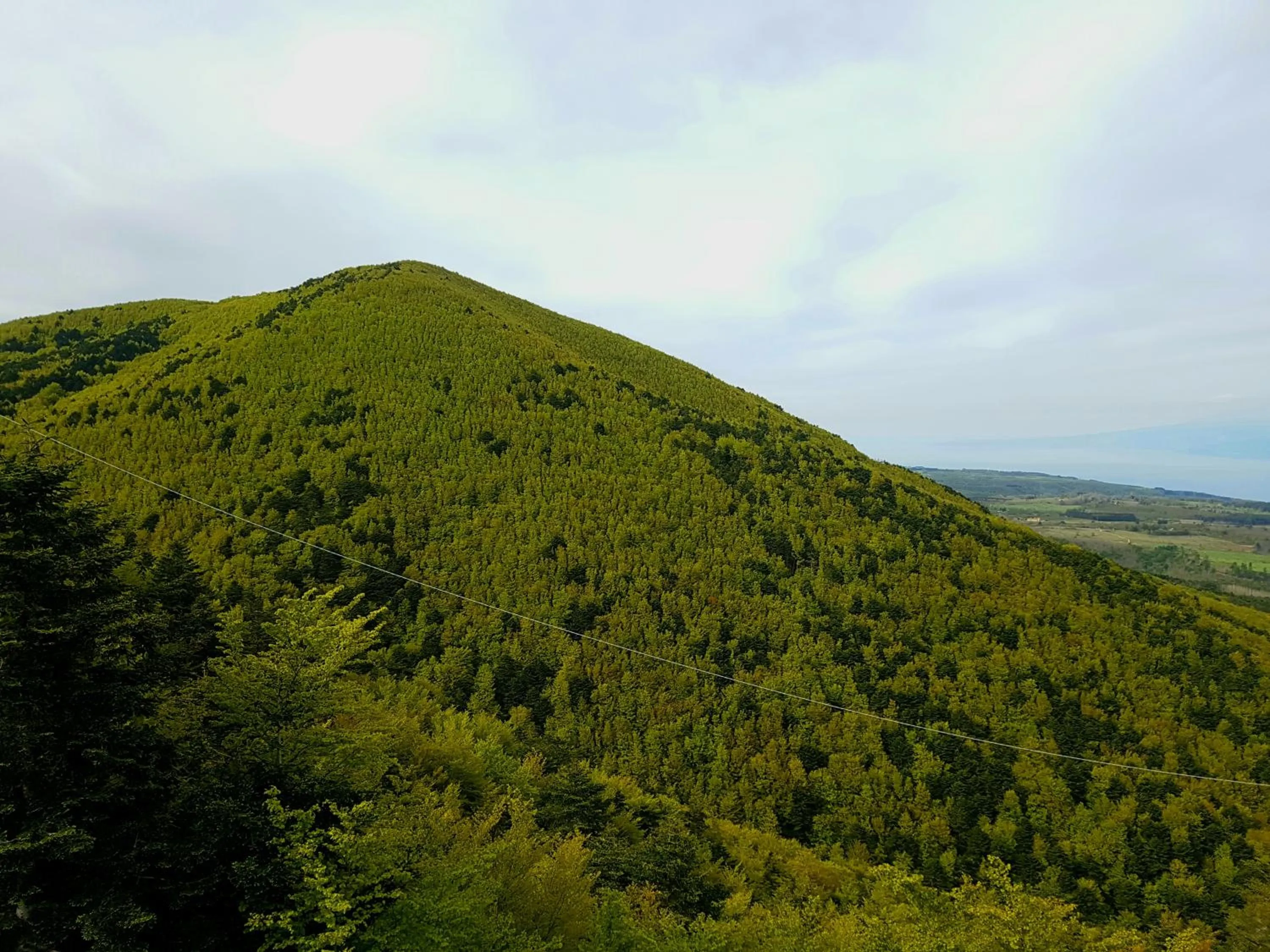 Natural landscape in Park Hotel Bellavista
