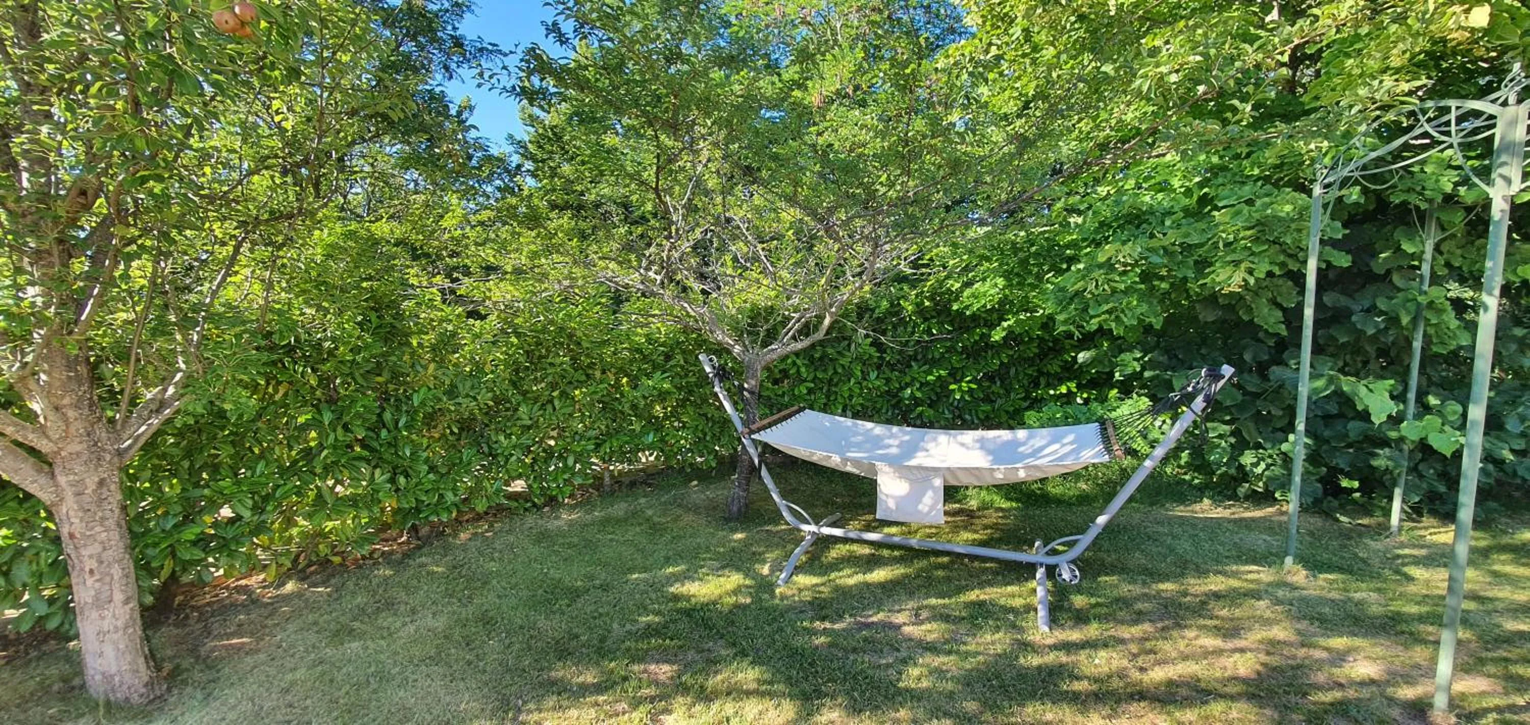 Activities in Park Hotel Bellavista