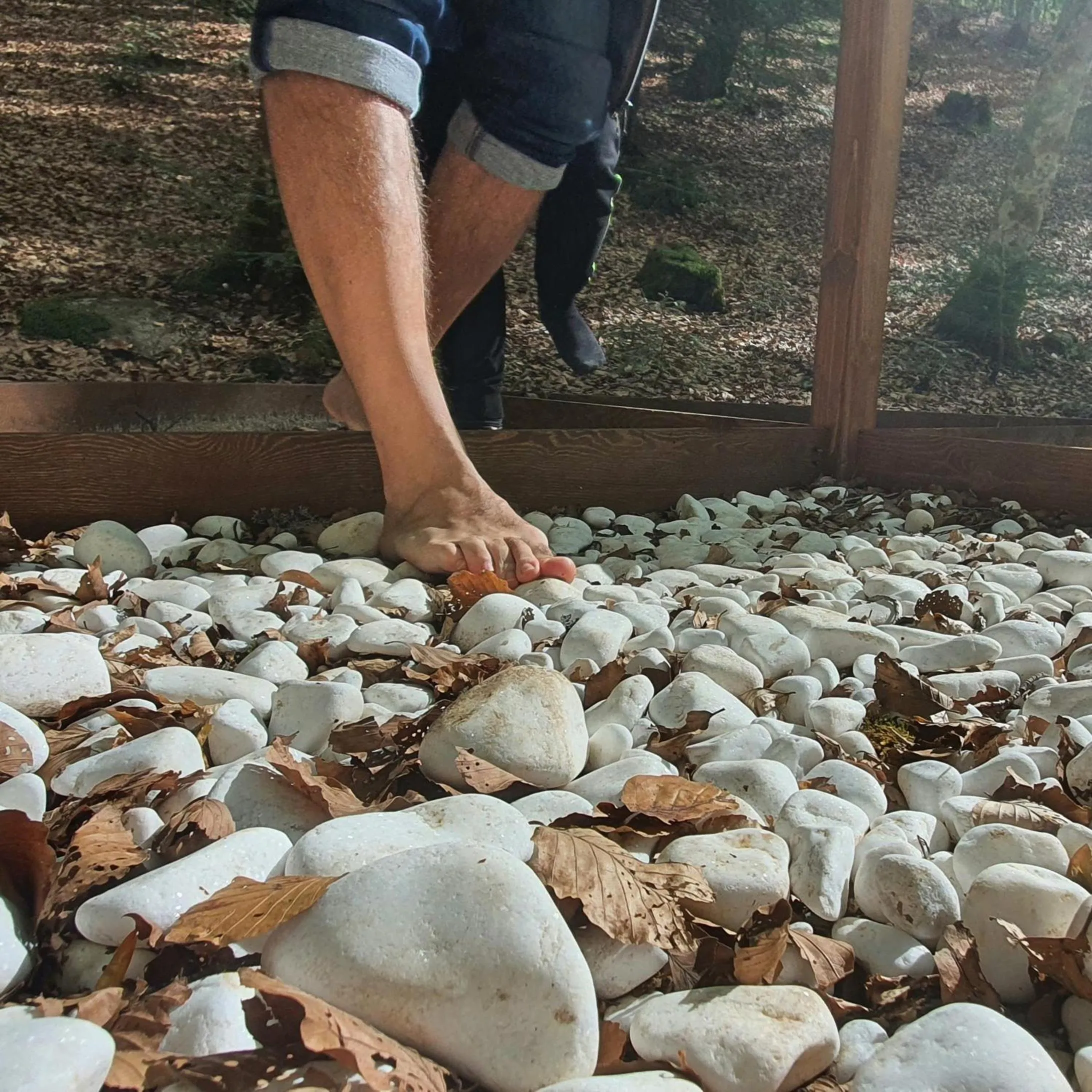 Natural landscape in Park Hotel Bellavista