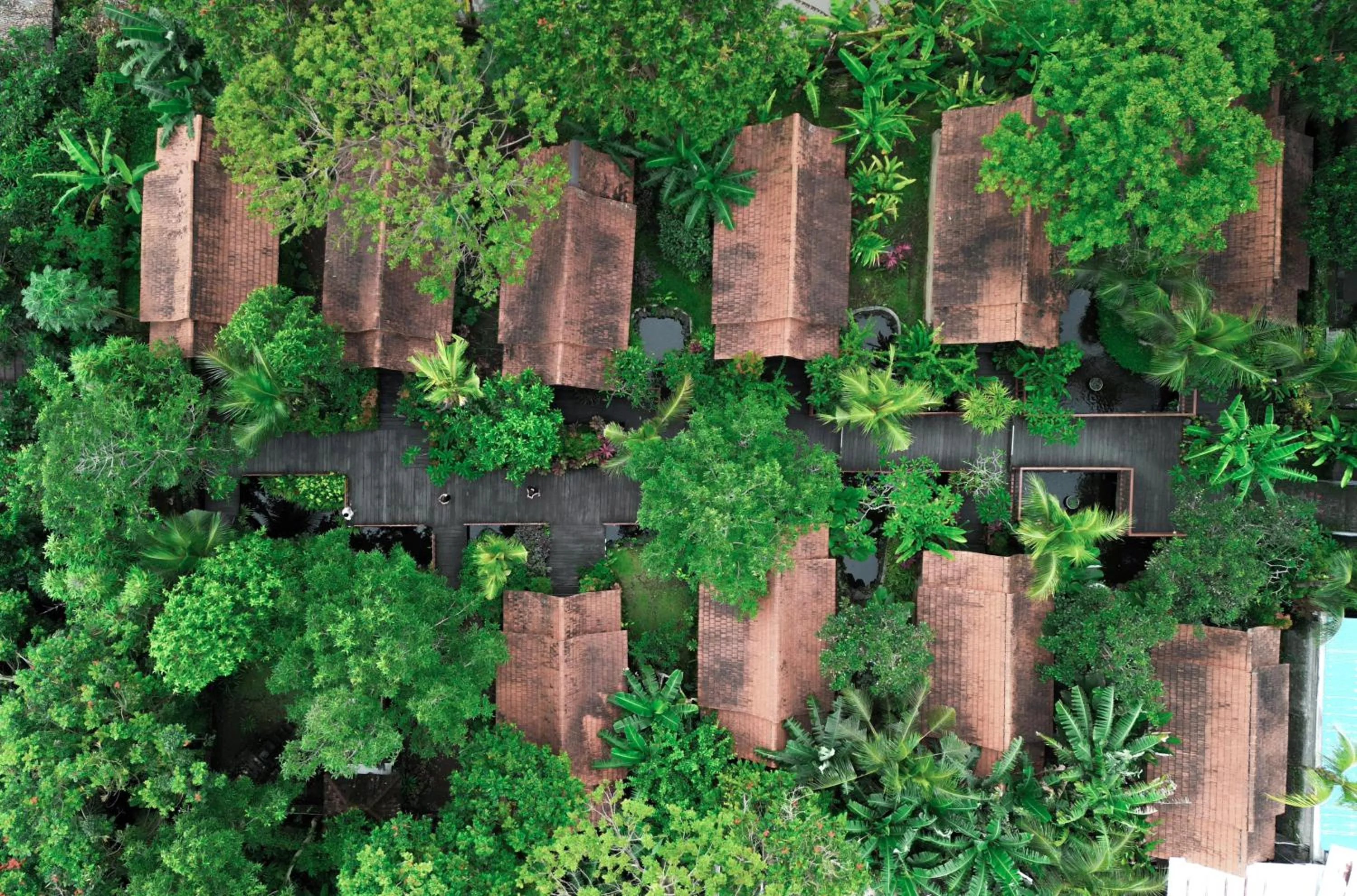 Natural landscape in Outpost Ubud Bungalows