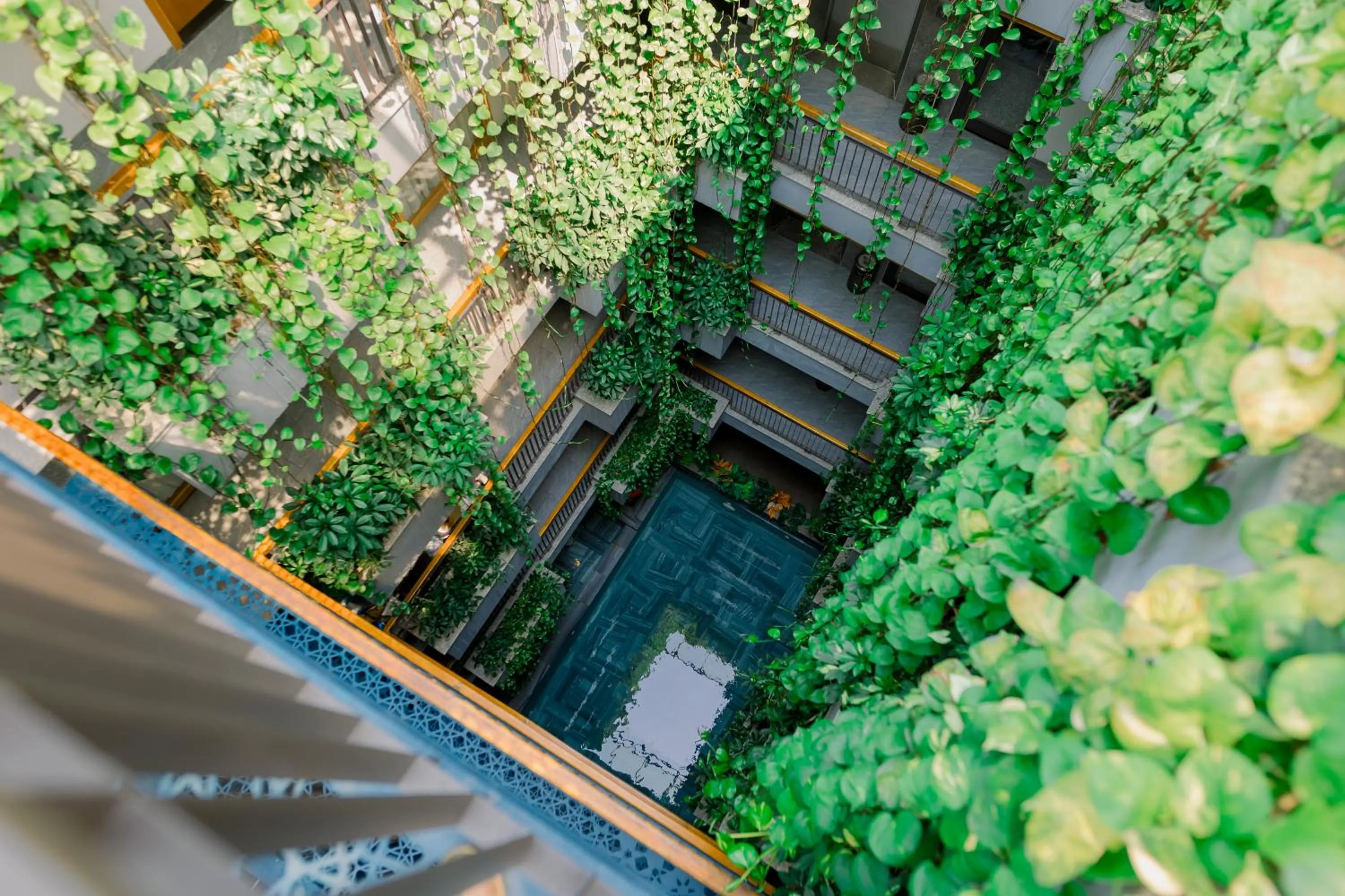 Garden in Lahome Boutique Villa and Apartment