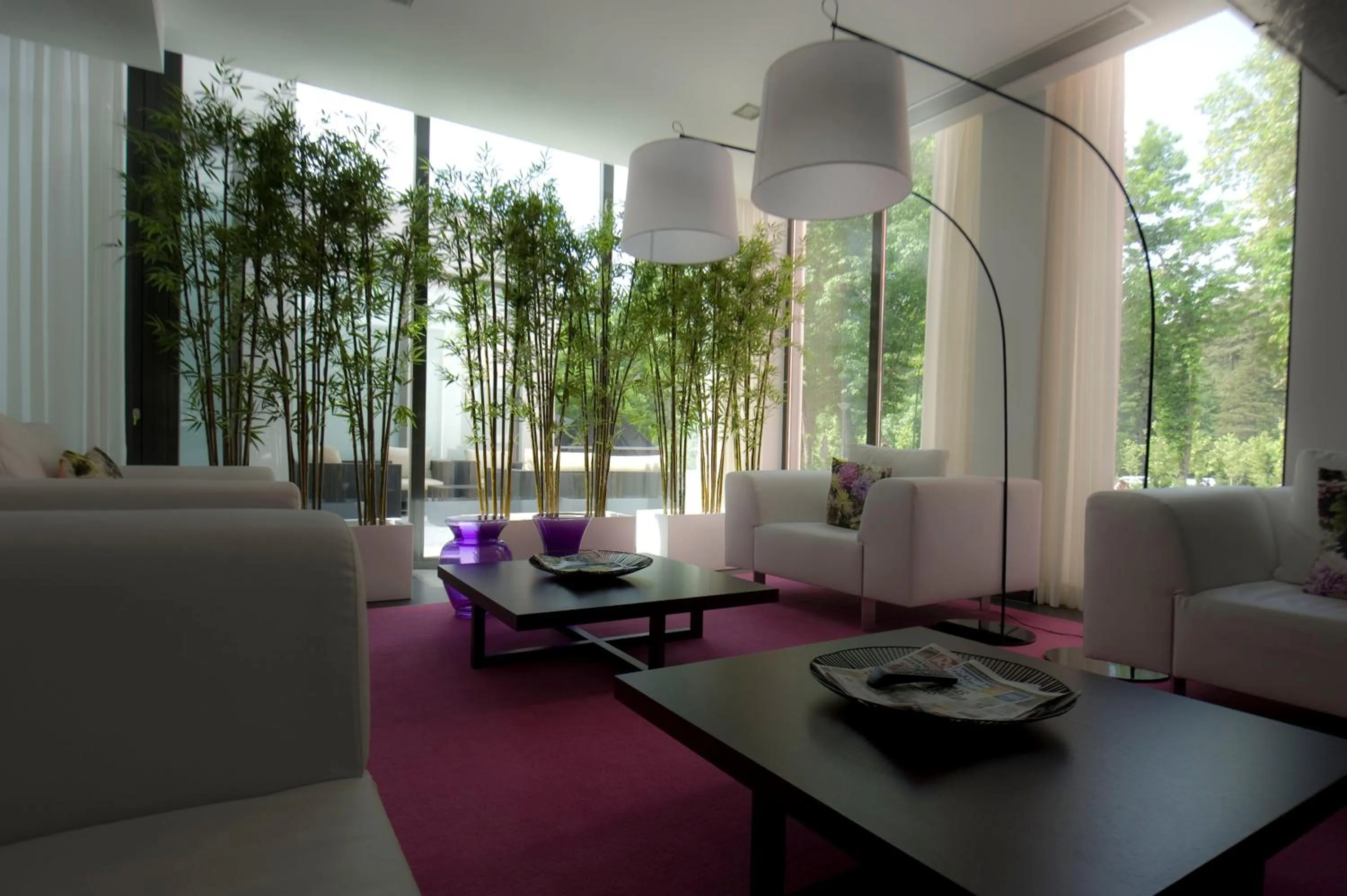 Communal lounge/ TV room in Primavera Perfume Hotel