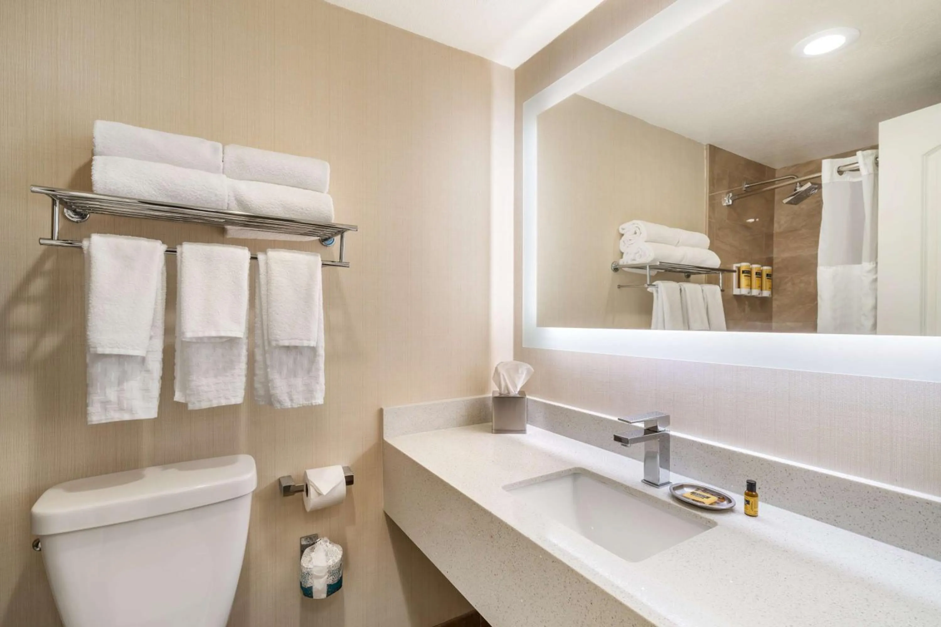 Bathroom in Best Western Plus Carpinteria Inn