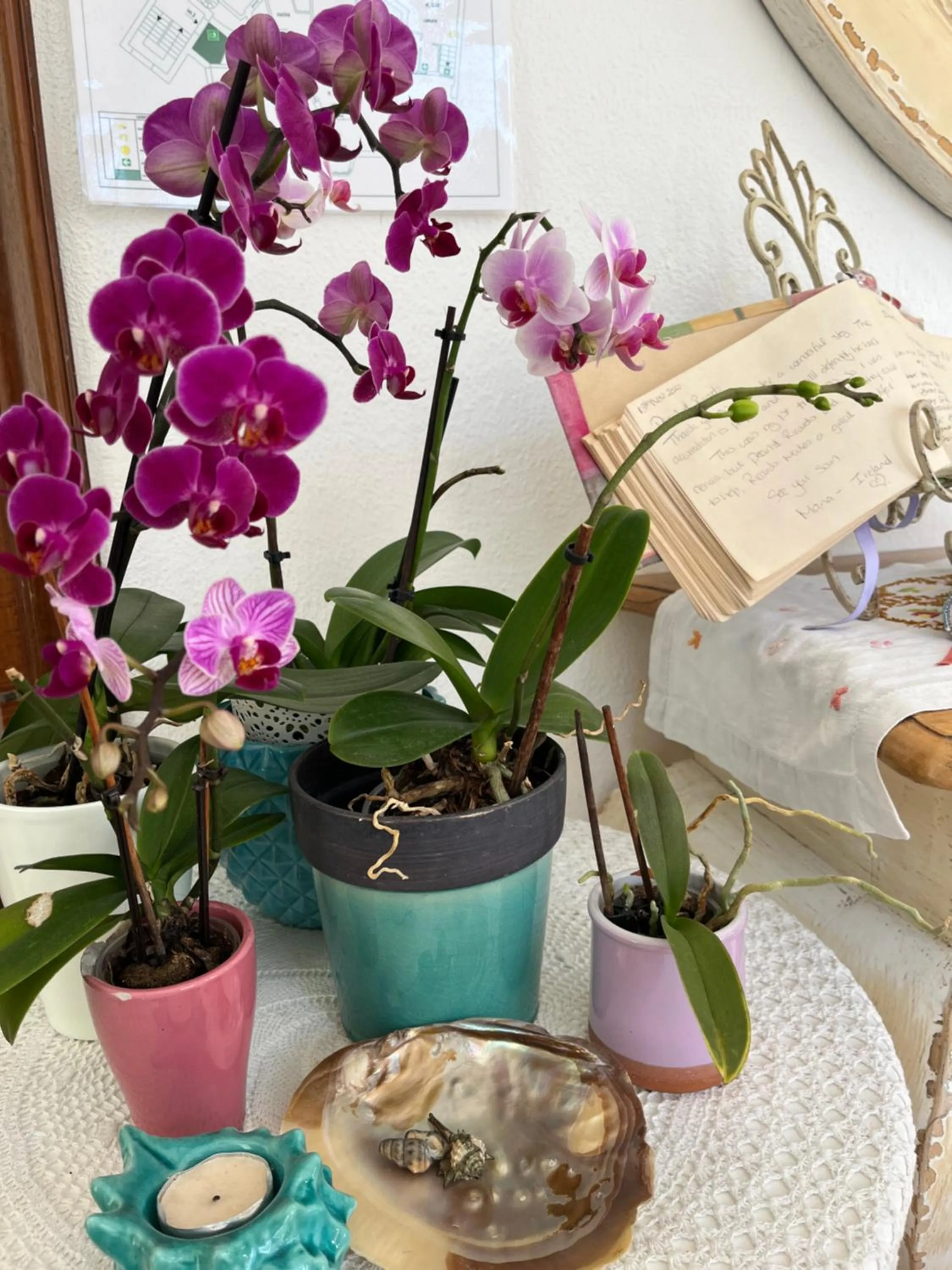 Lobby or reception in Barocchetto Romano