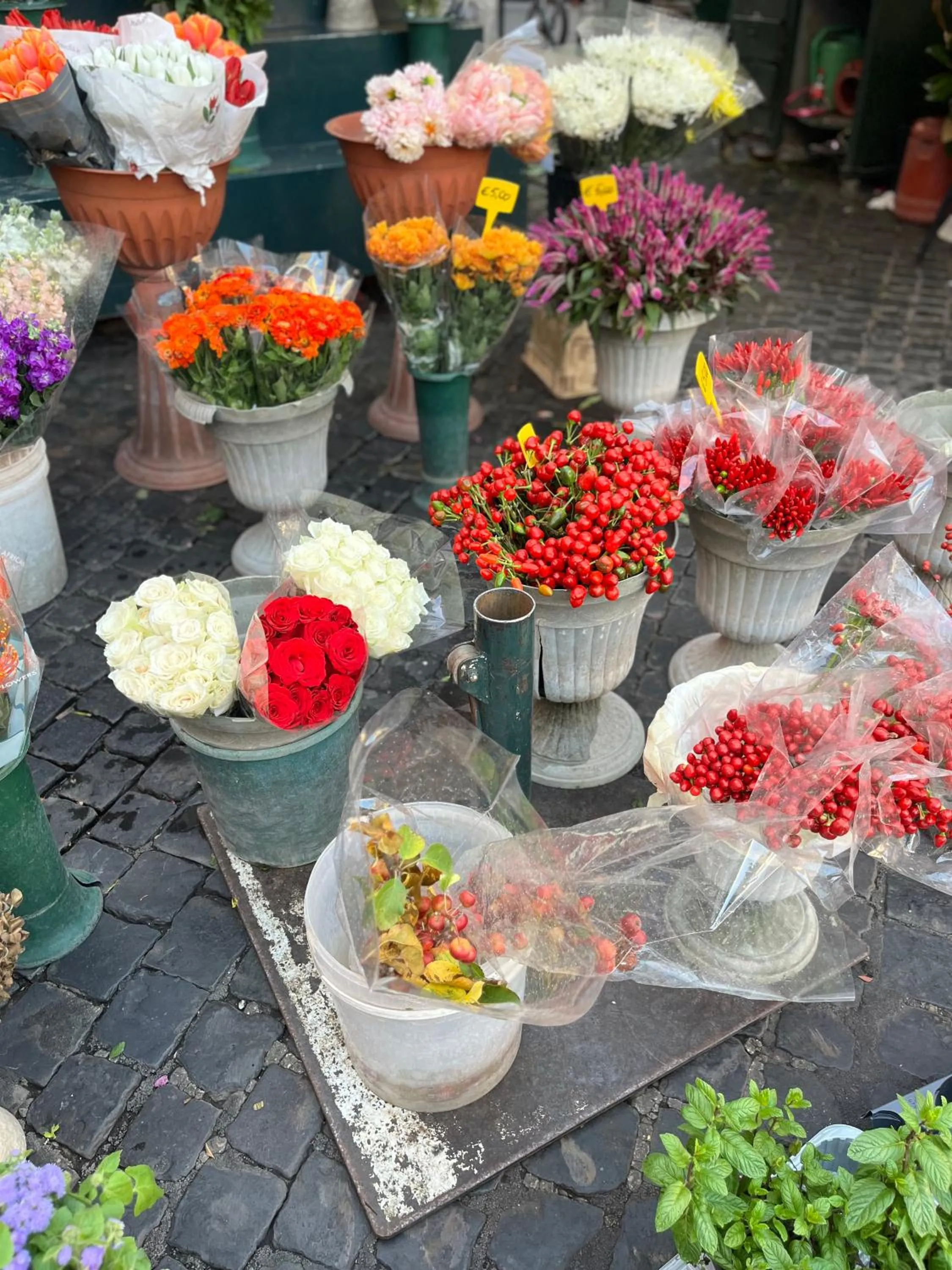 Entertainment in Barocchetto Romano