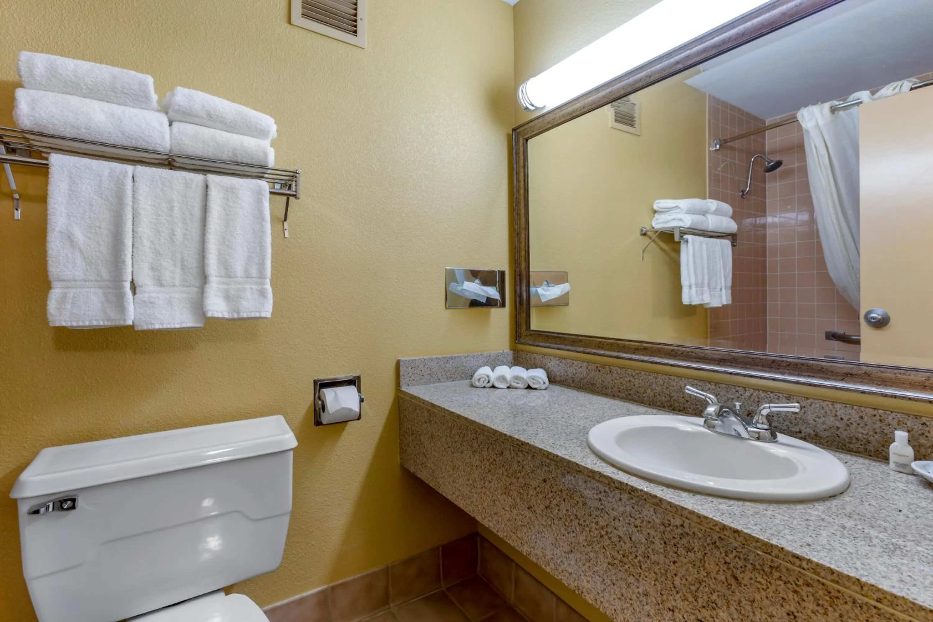 Bathroom in Clarion Inn & Suites Roswell