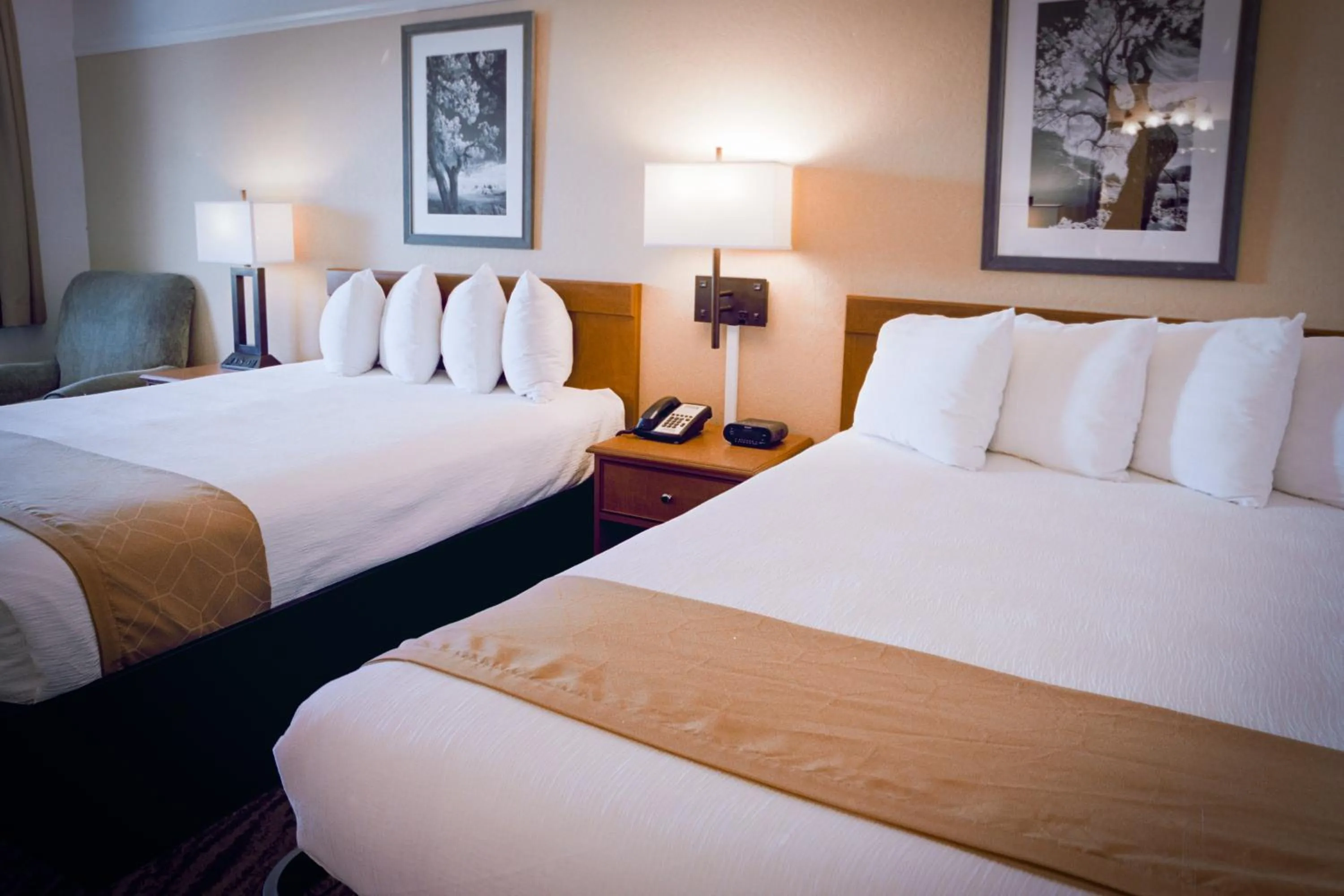 Bed in Pines Inn & Suites