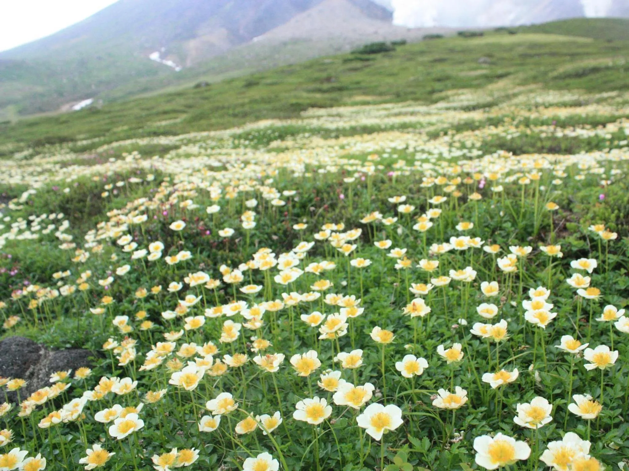 Natural landscape, Bird's-eye View in Asahidake Onsen Hotel Deer Valley