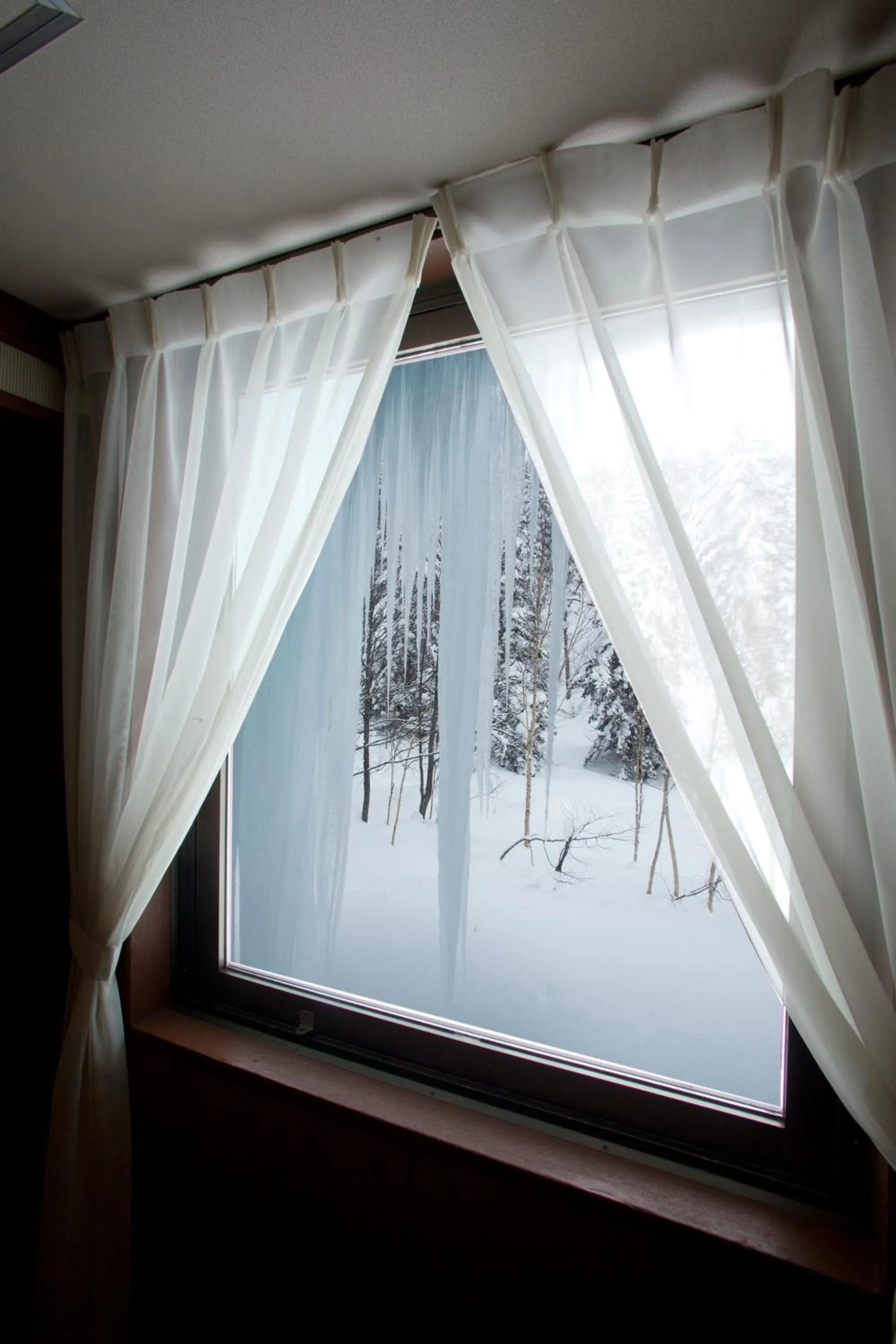 Winter in Asahidake Onsen Hotel Deer Valley