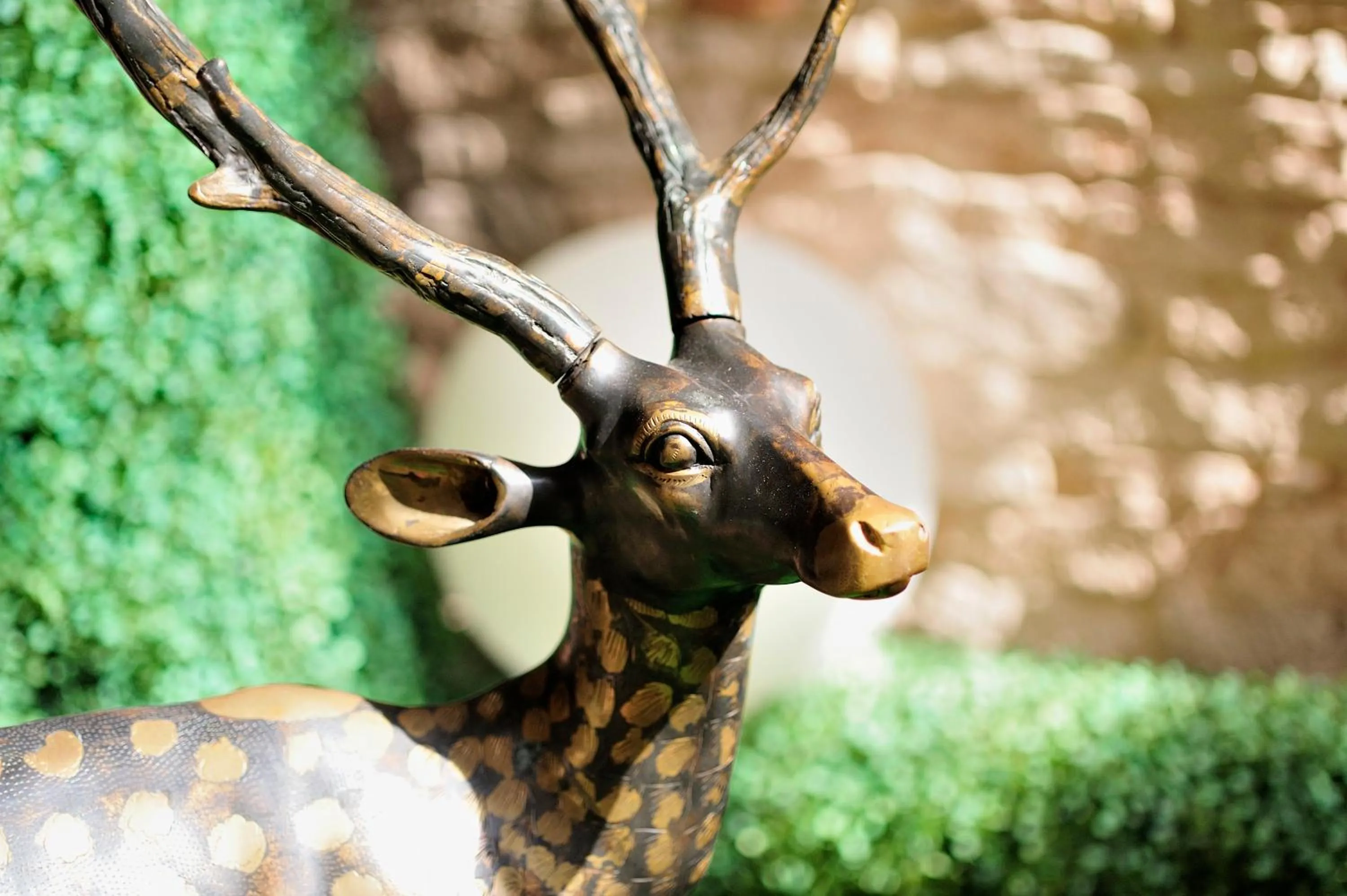 On site, Other Animals in Asahidake Onsen Hotel Deer Valley