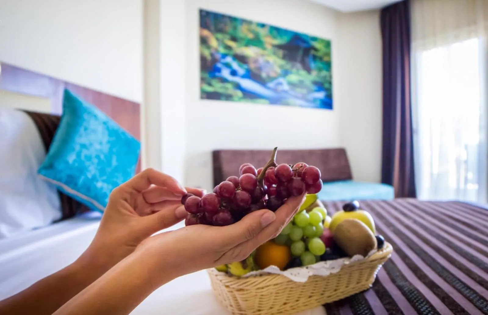 Sea view, Bed in Seagull Beach Resort - Families and Couples Only