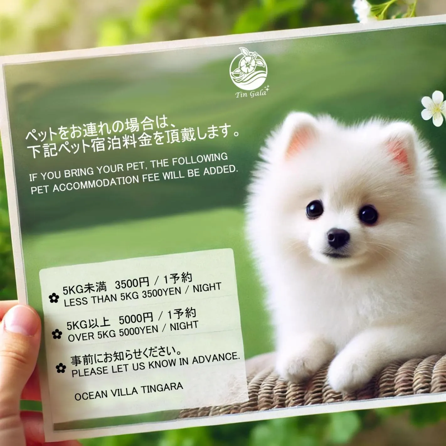 pet friendly in Ocean Villa Tin Gala