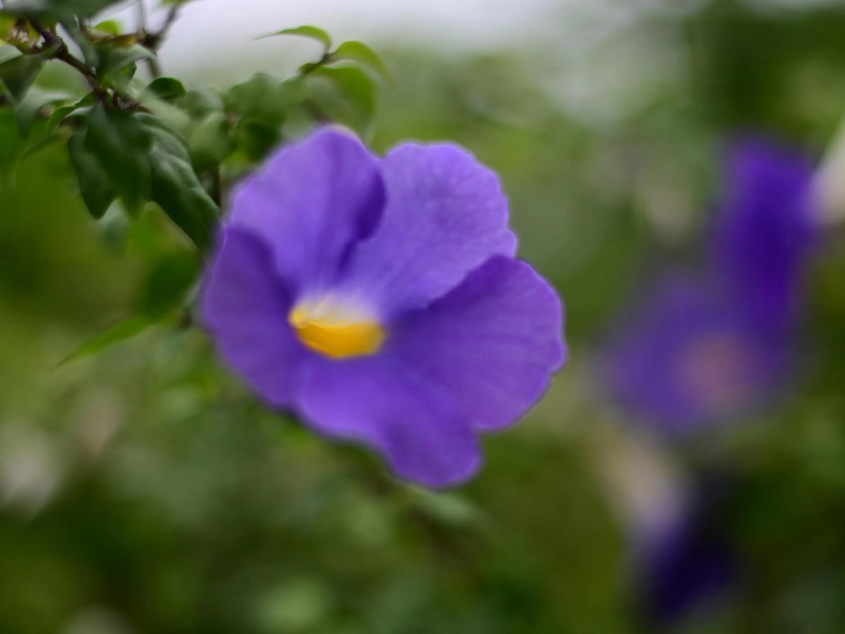 Off site in Ocean Villa Tin Gala