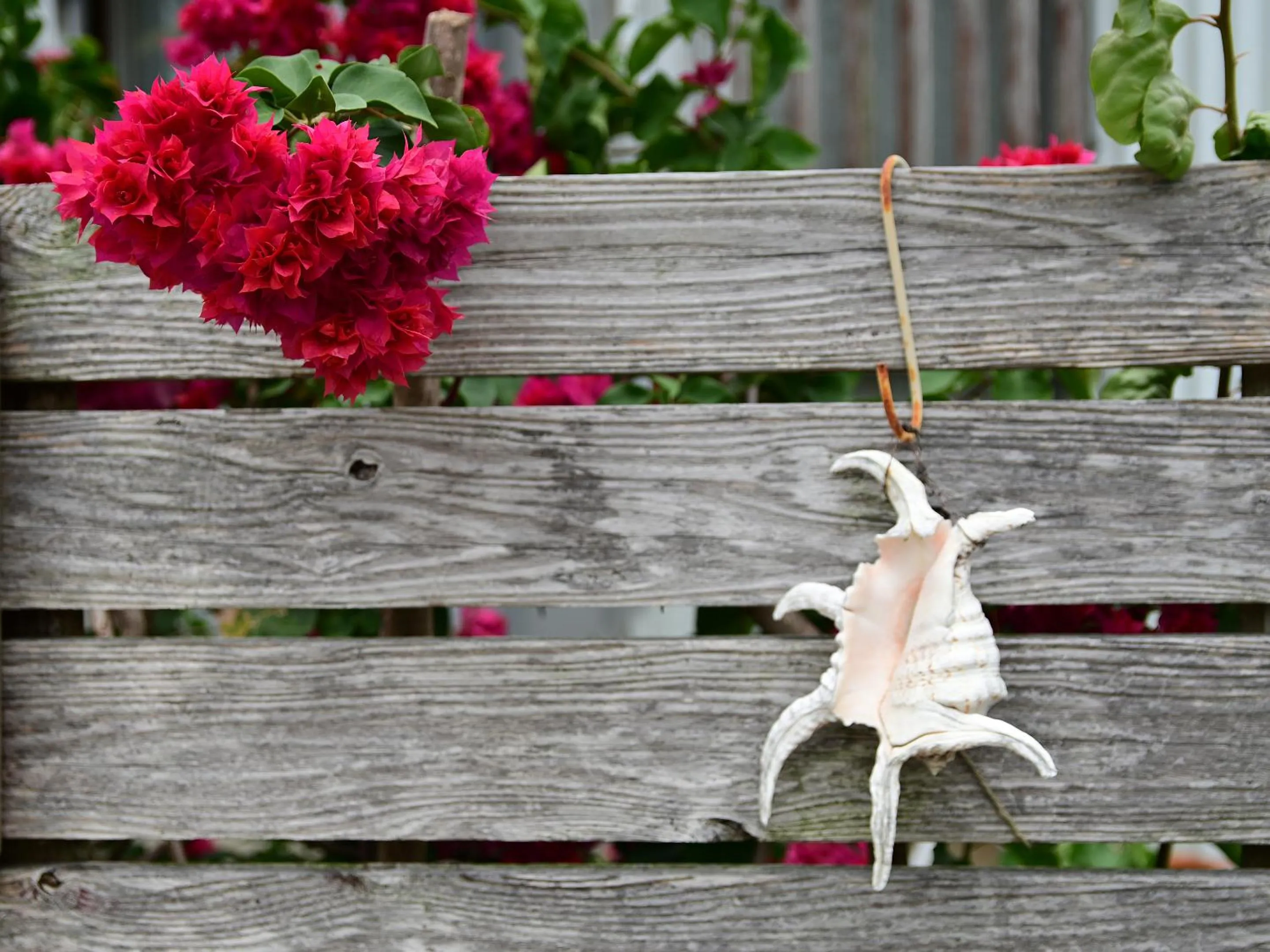 Off site in Ocean Villa Tin Gala