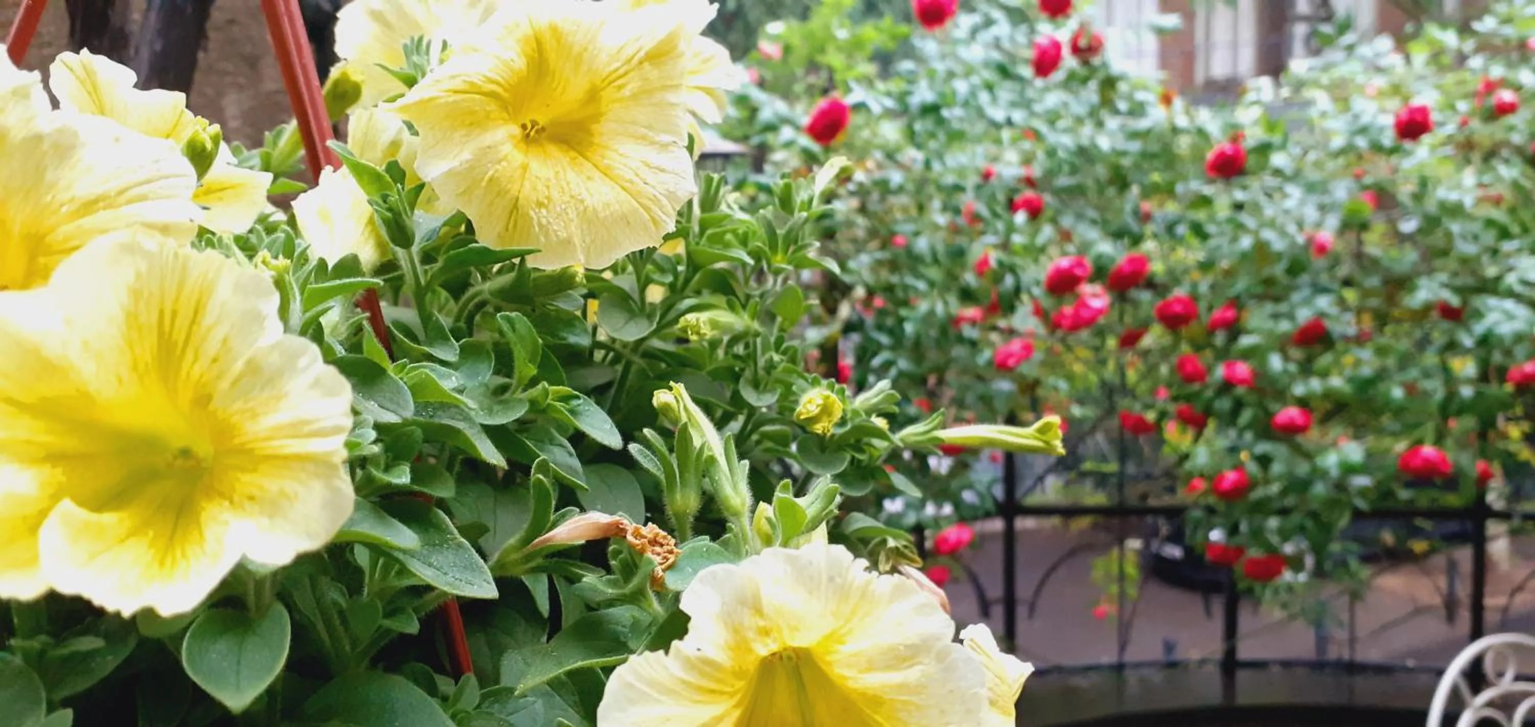 Spring in Iliani Hotel