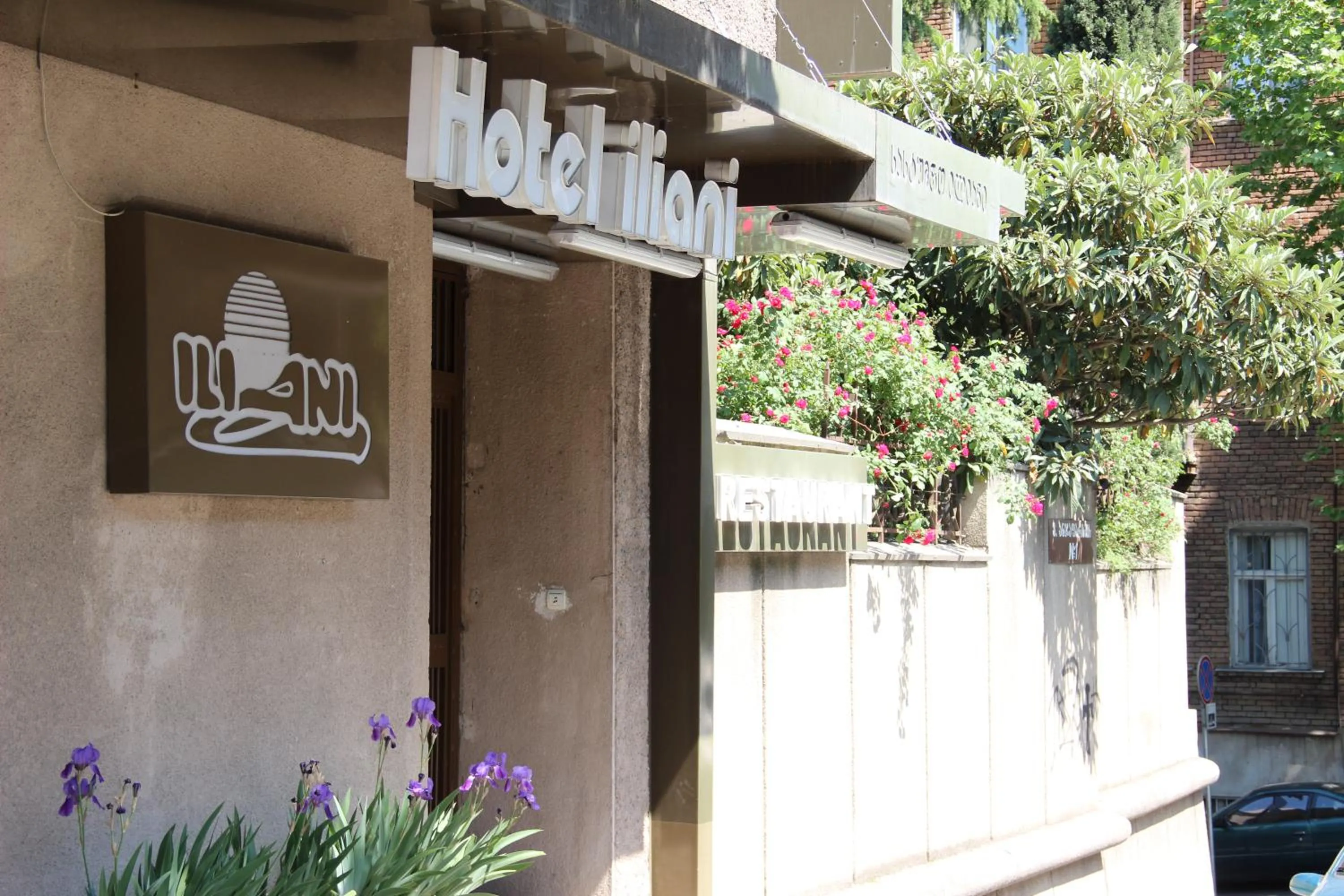 View (from property/room) in Iliani Hotel