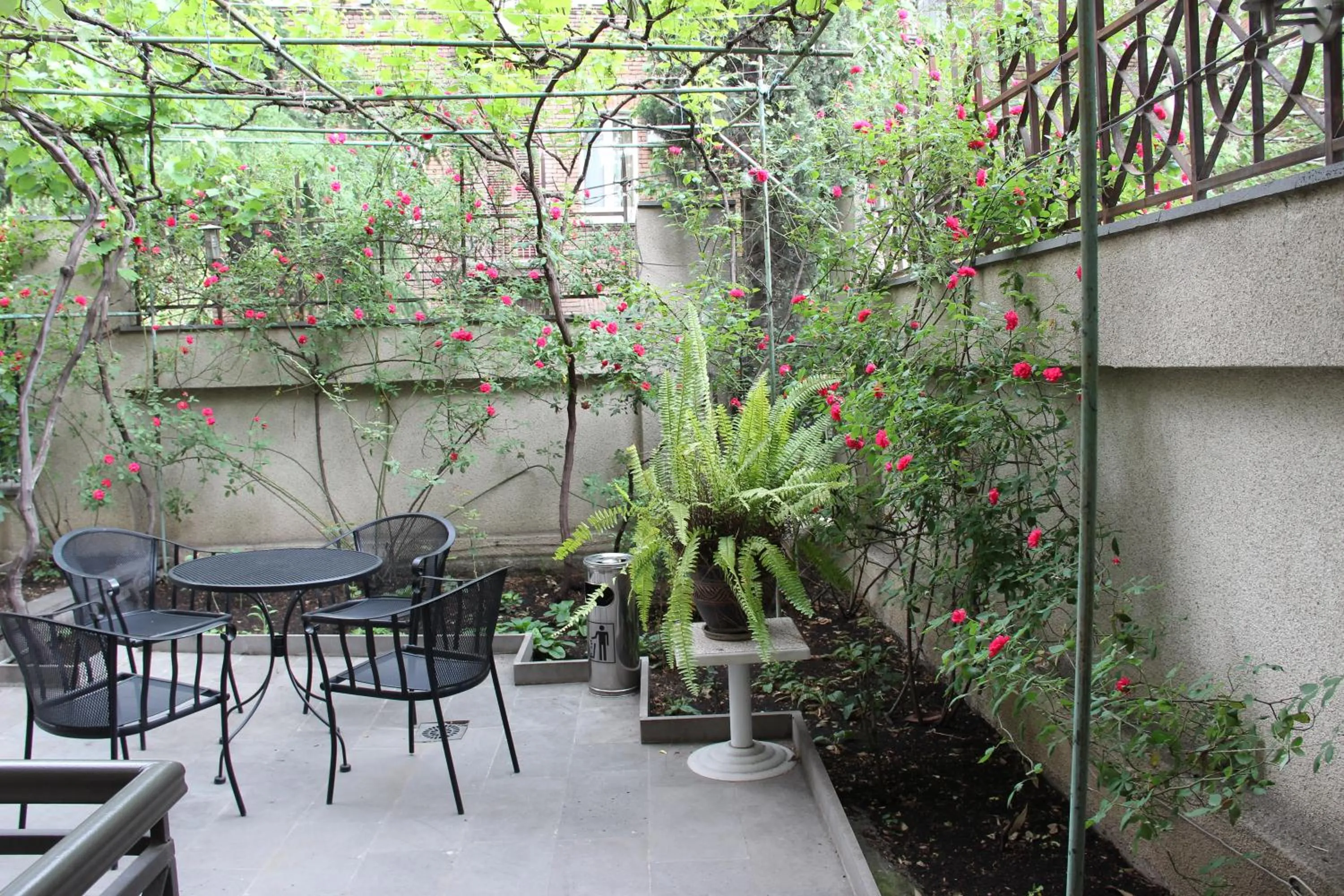 Garden in Iliani Hotel