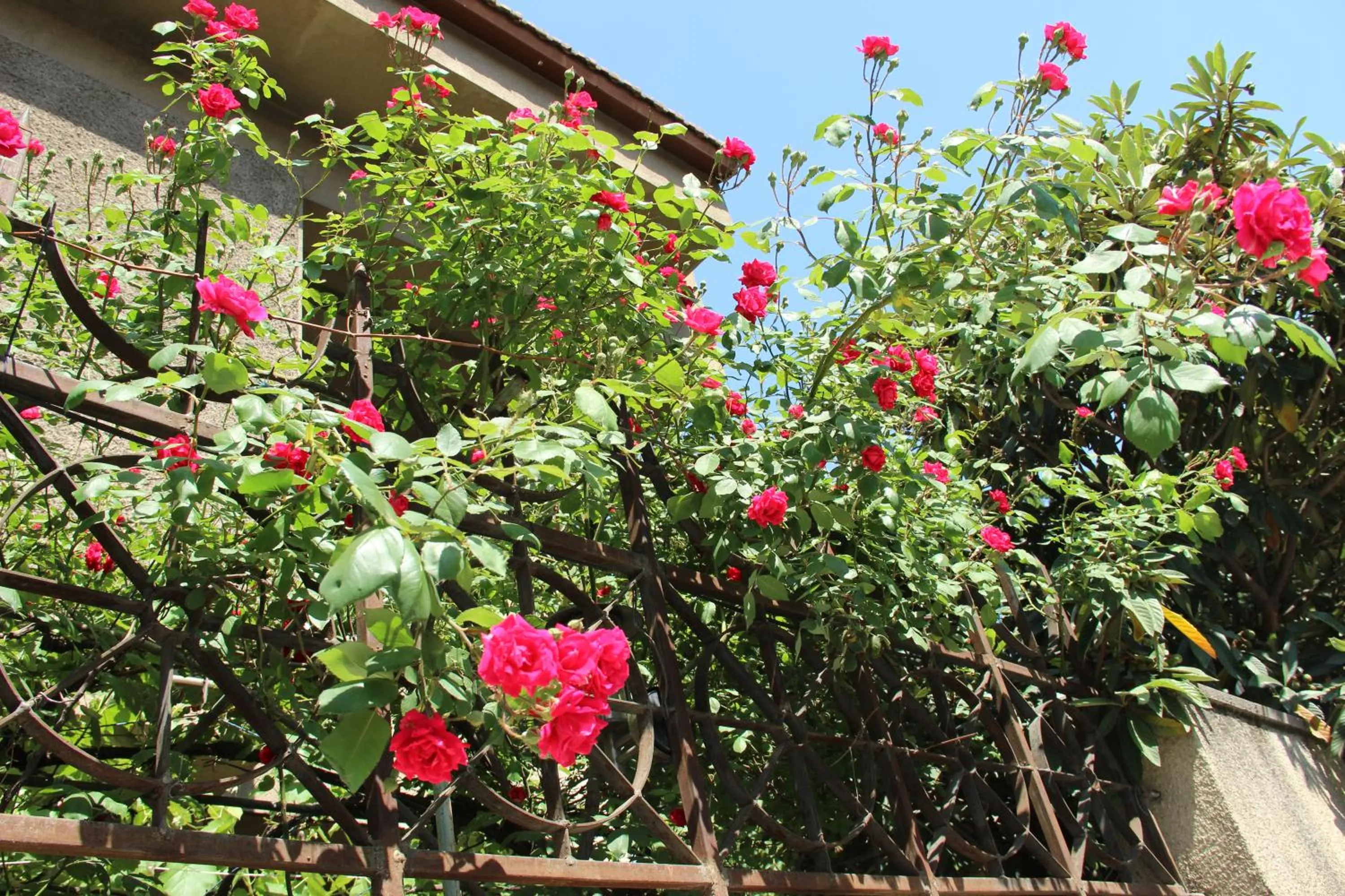 View (from property/room) in Iliani Hotel