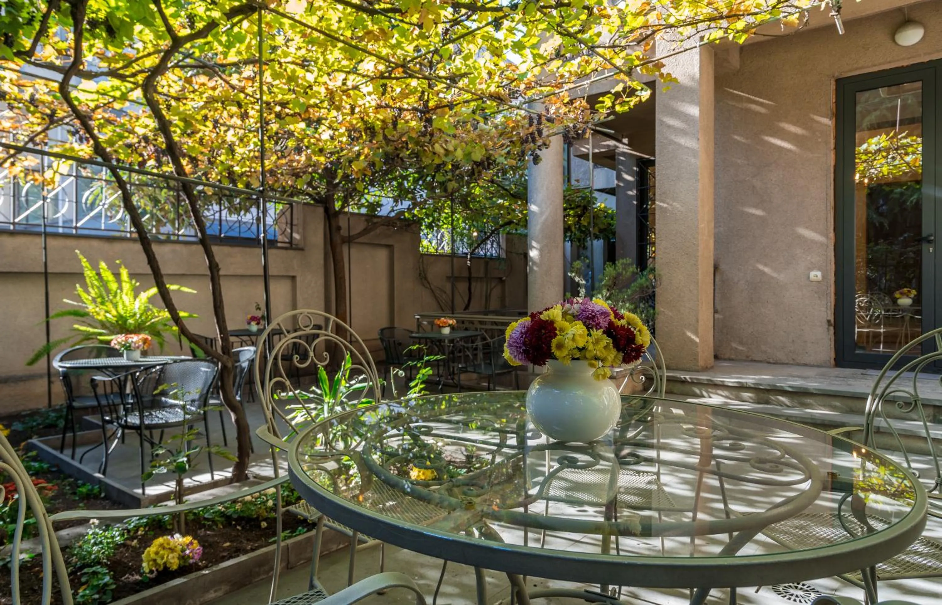 Garden in Iliani Hotel