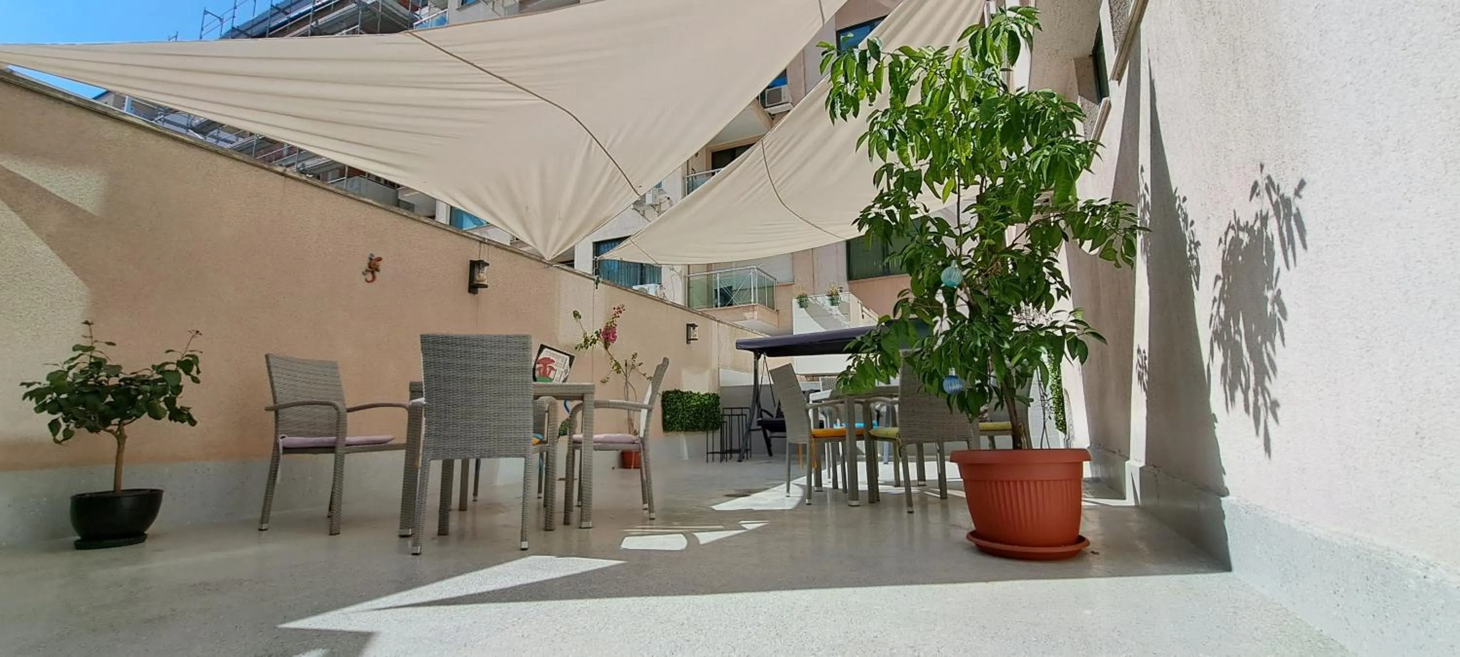 Garden in Central West Hotel