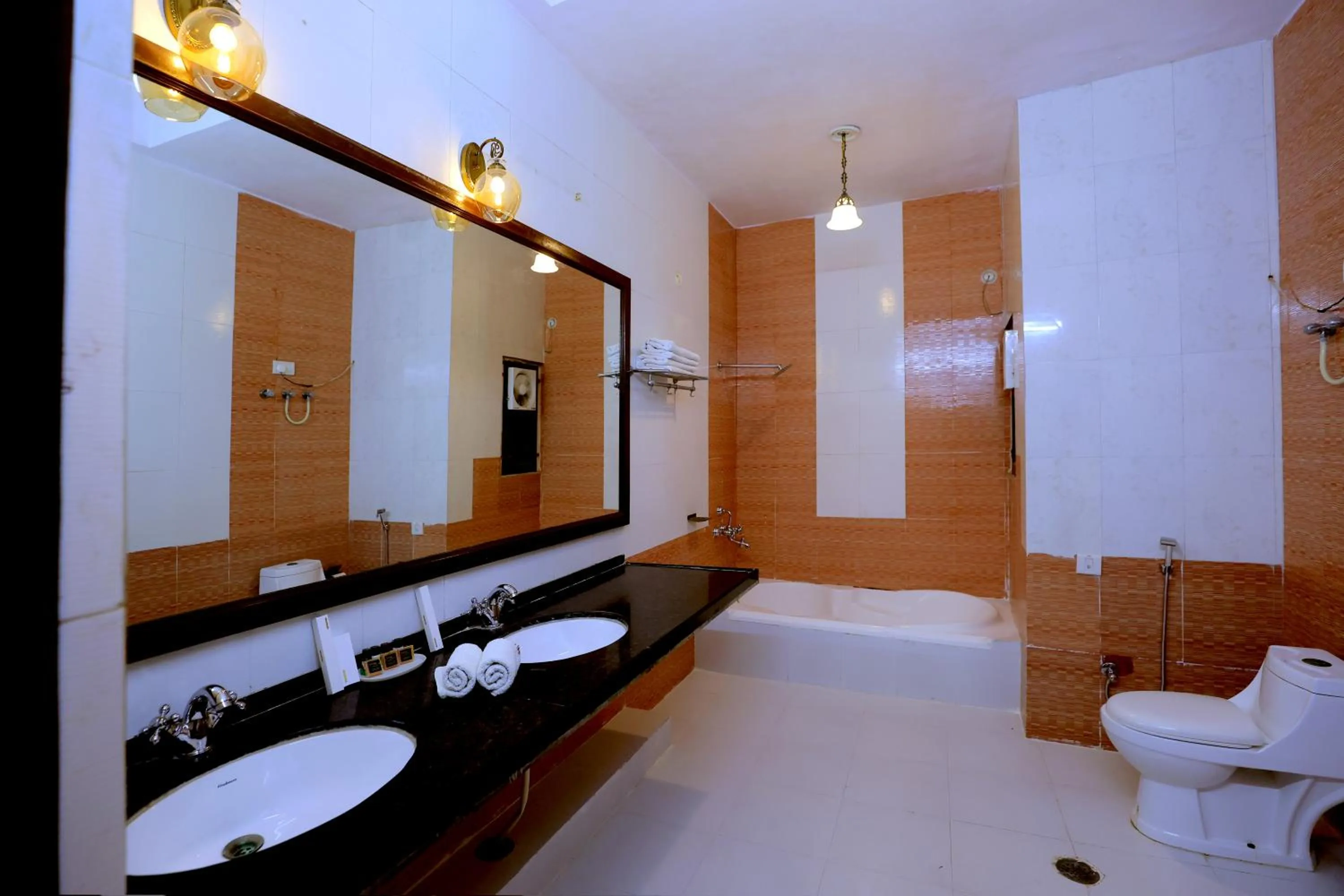 Bathroom in Satyam Palace Resort