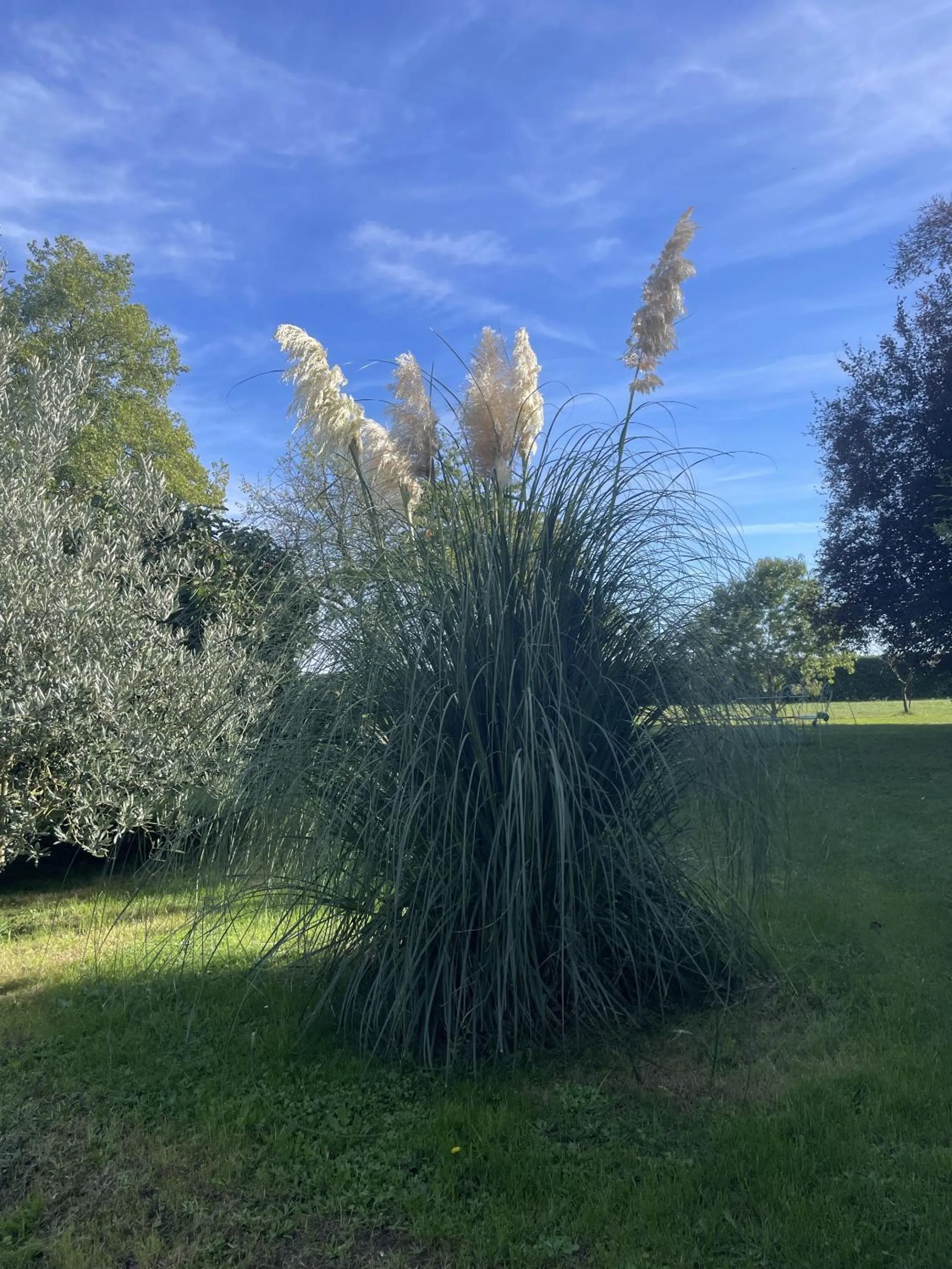 Property building in Villa Cassandre