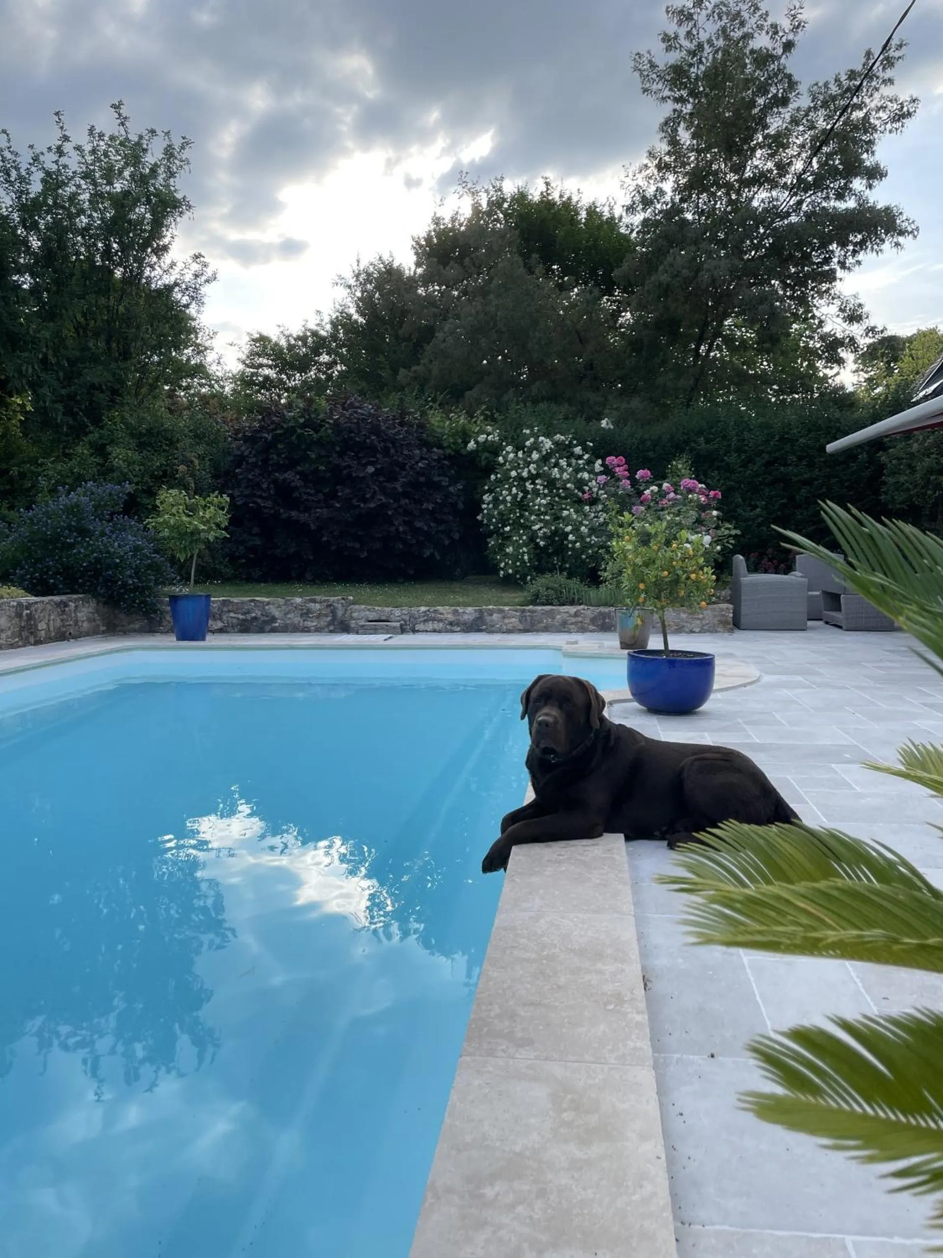 Pool view in Villa Cassandre