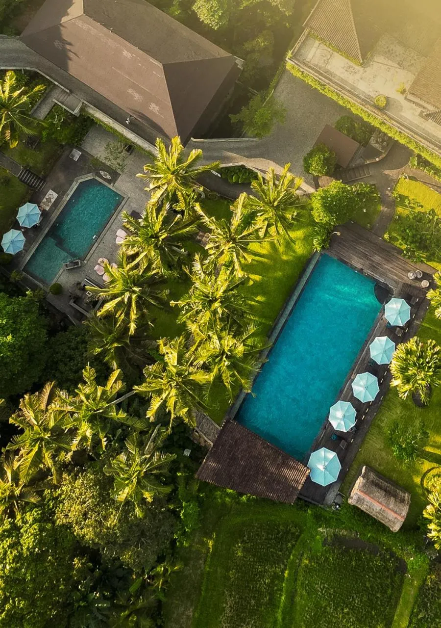 View (from property/room) in The Artini Dijiwa Ubud